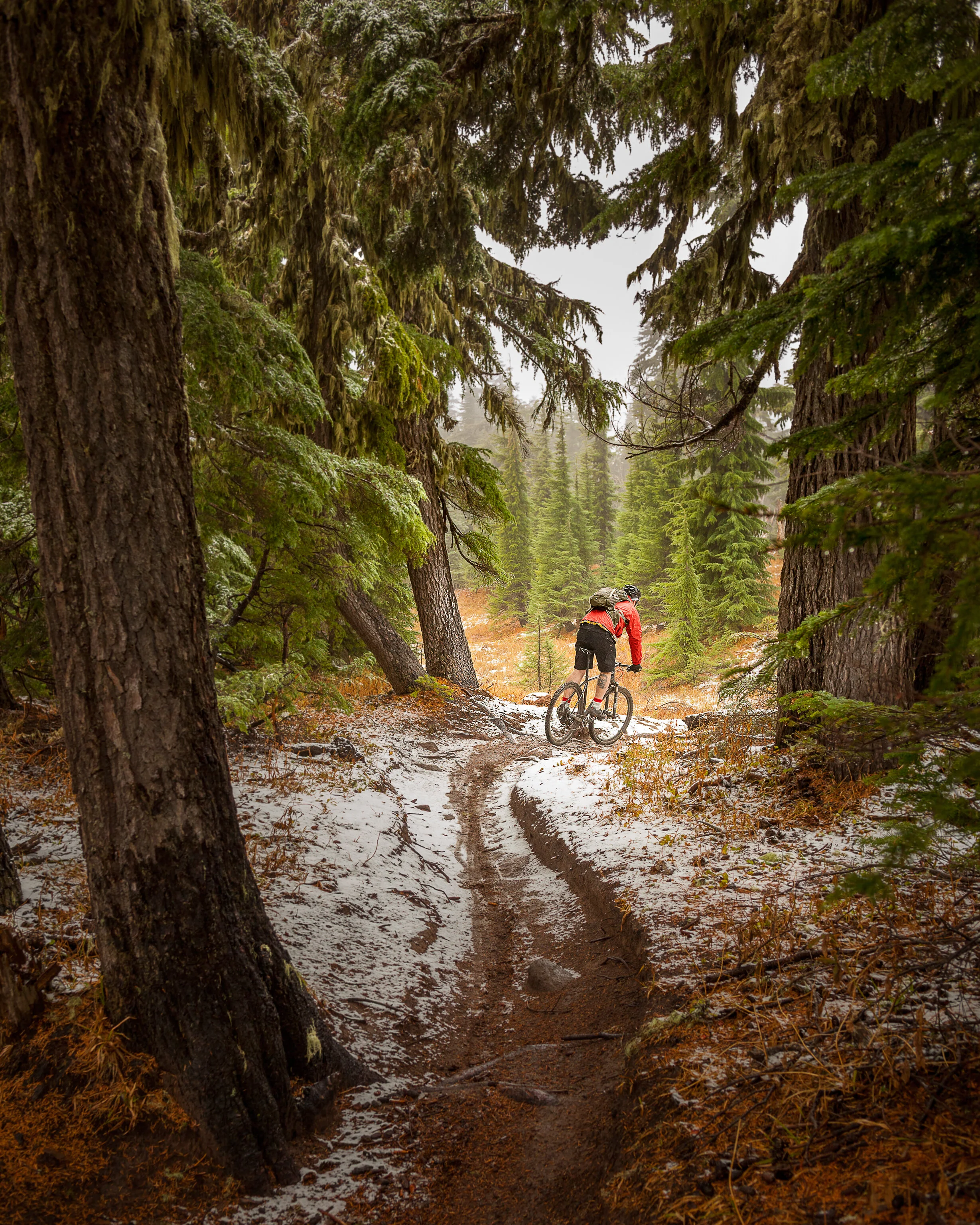 Portland2015_201RINSTA.jpg