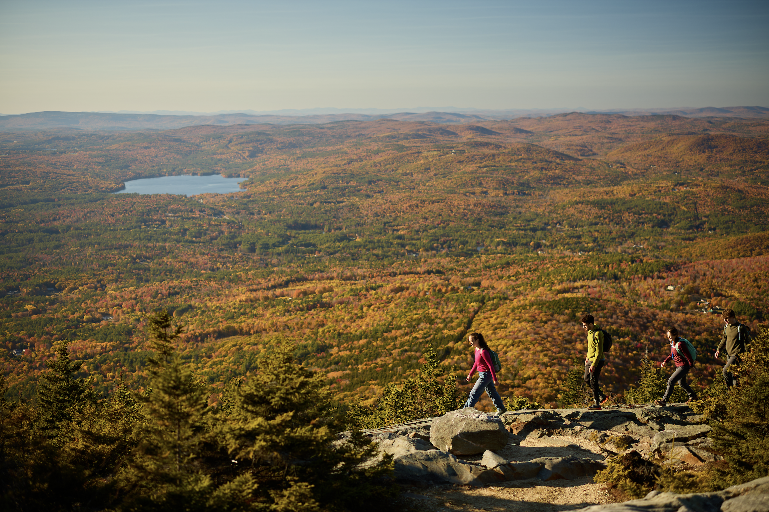 Screenshot 2025-05-30 at 12.46.23 PM.png