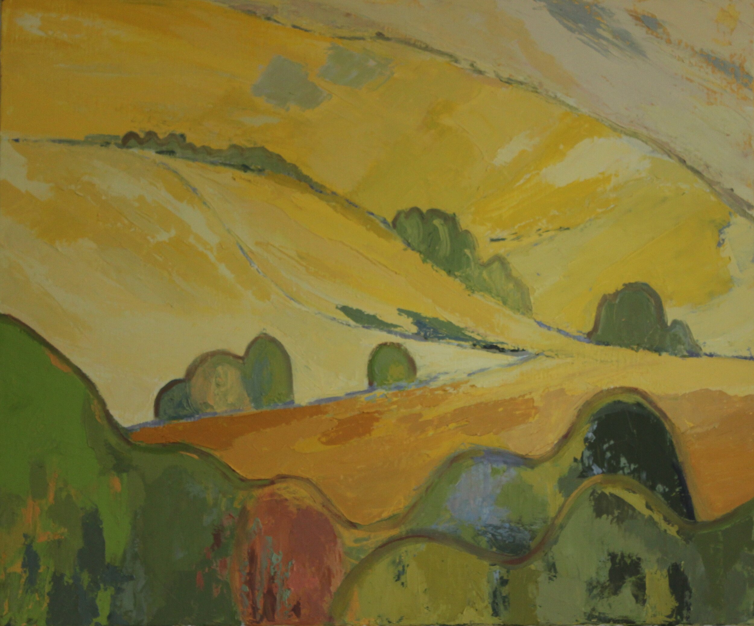 Champs de tournesols