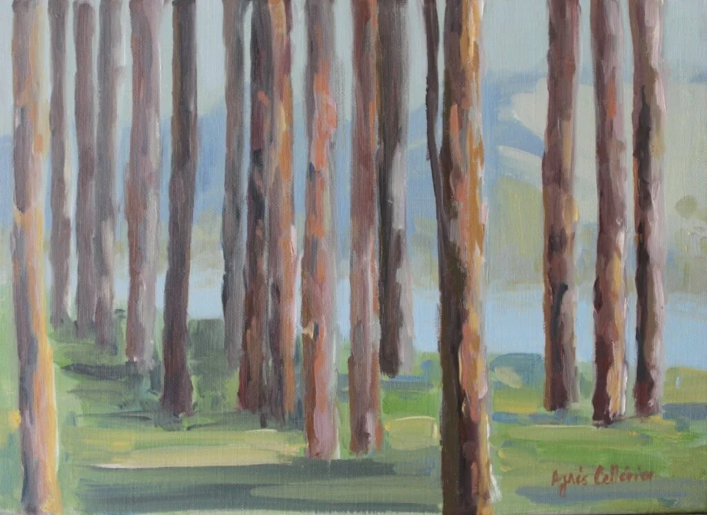 Les arbres à St Férréol