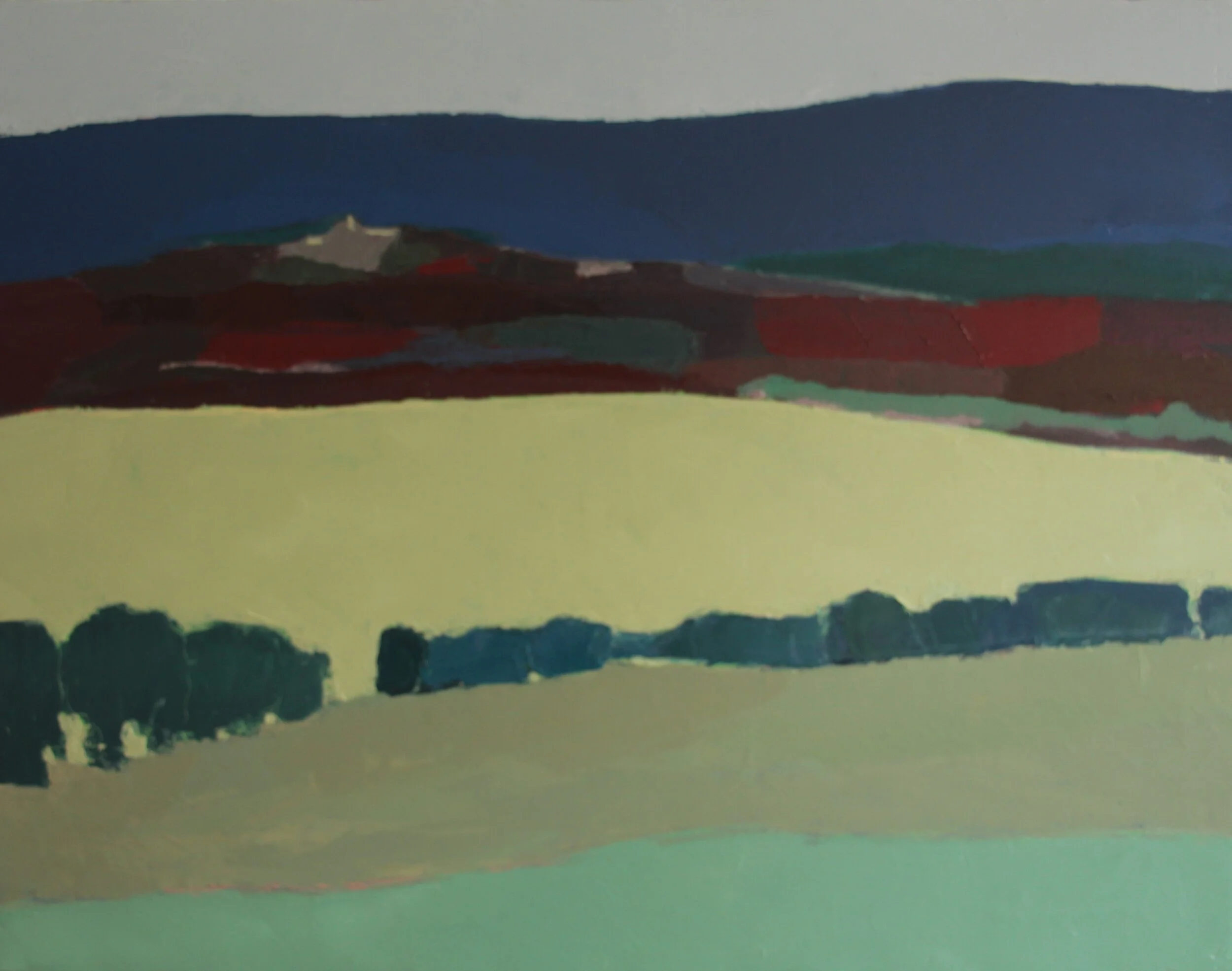 Paysage d'hiver