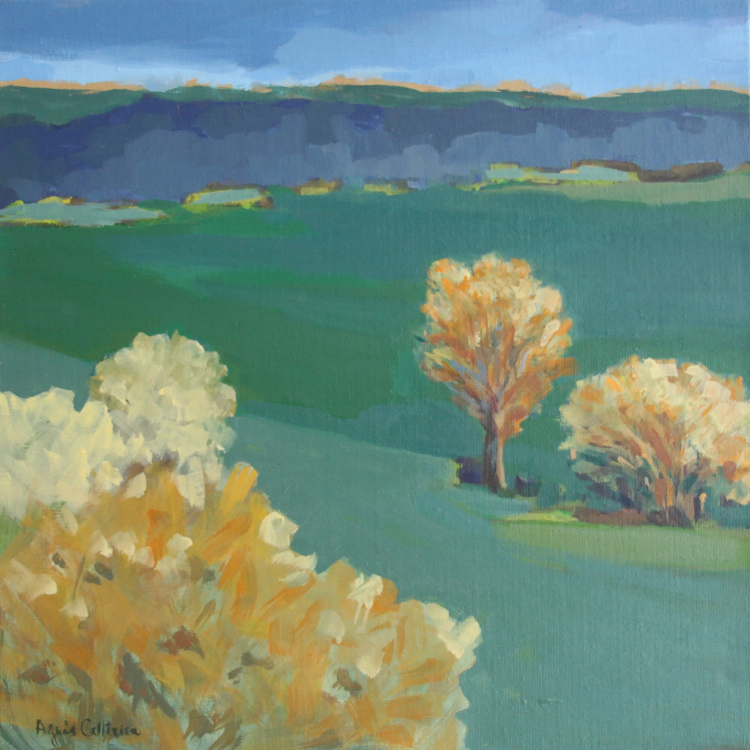 Avril, fin de journée 