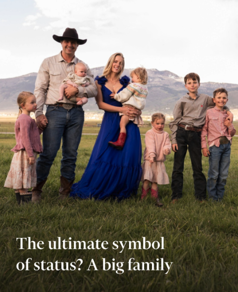 Screenshot 2025-09-01 at 10.17.31.png