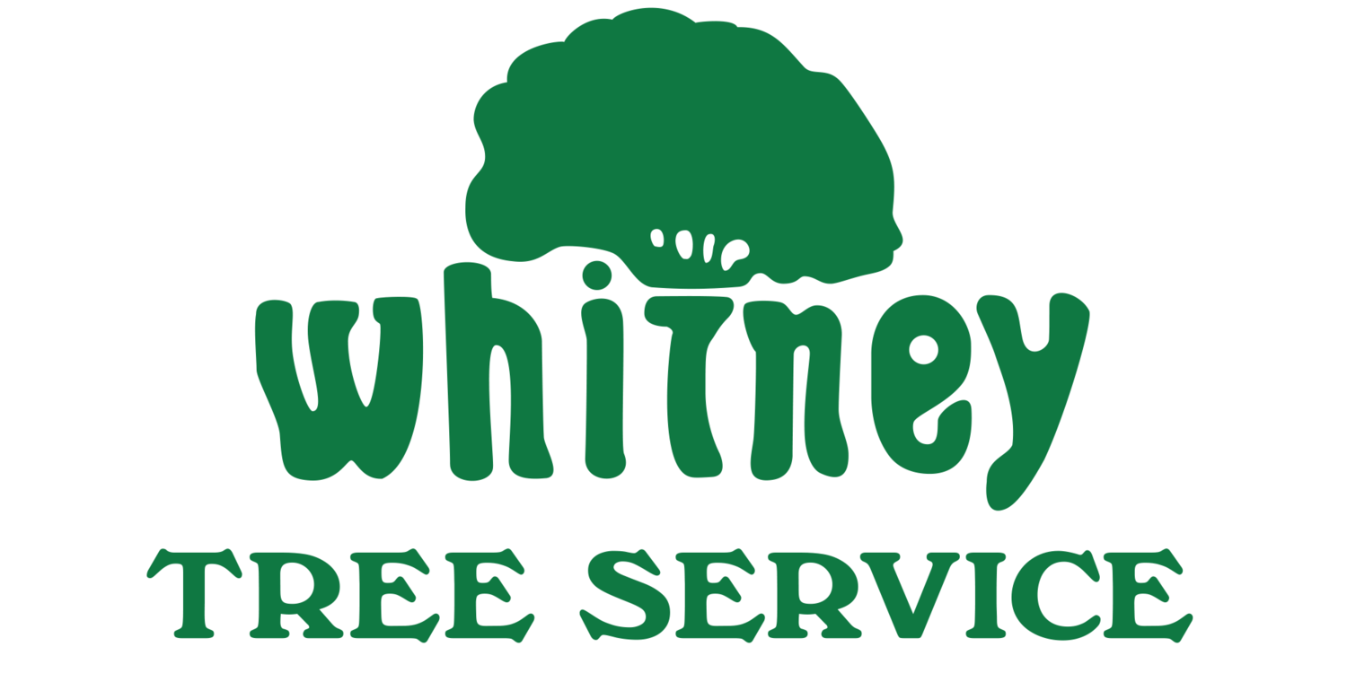 Whitney Tree Service