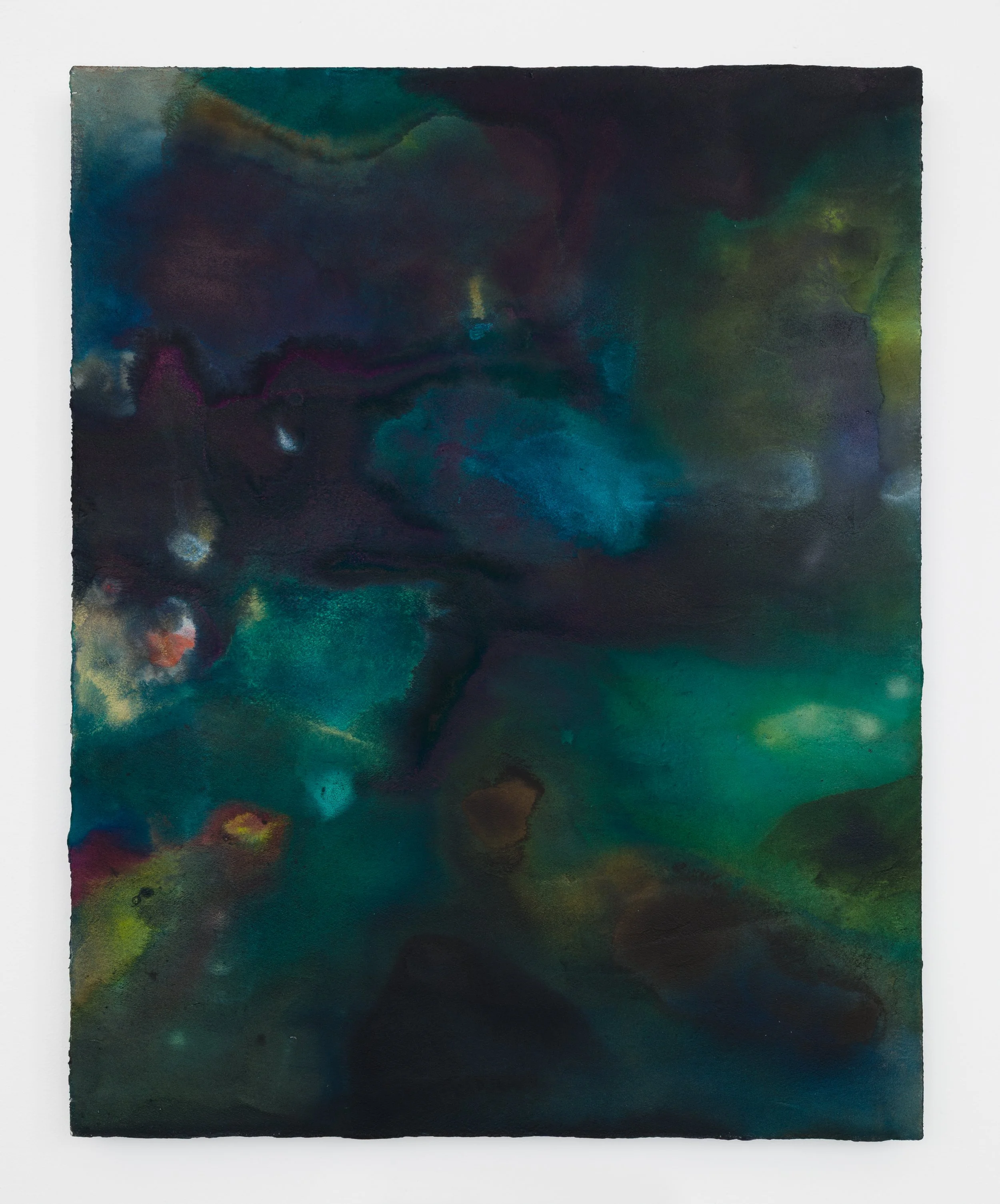 Night Garden, 2024 
Acrylic on panel 
30 × 24 inches