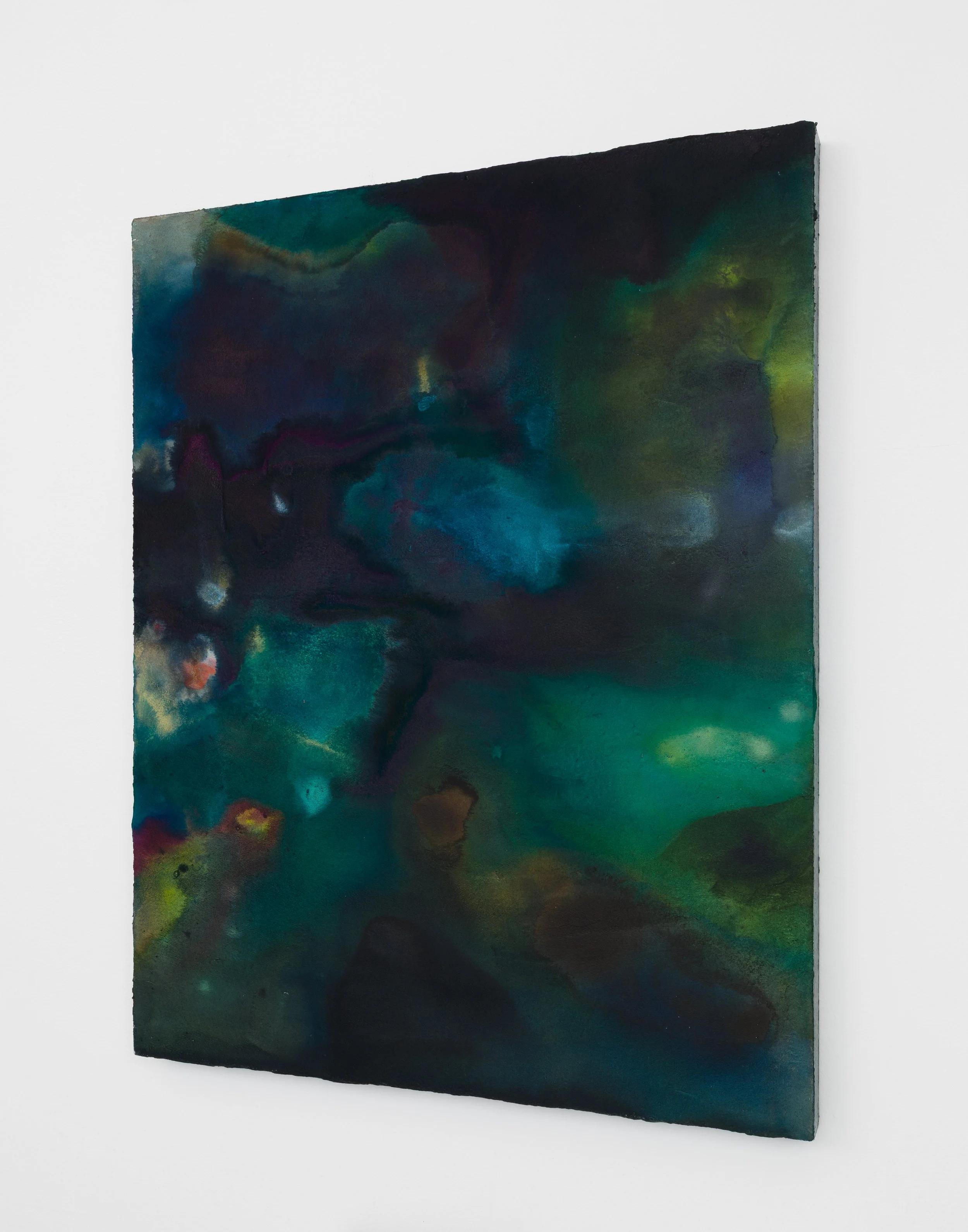 Night Garden, 2024 
Acrylic on panel 
30 × 24 inches