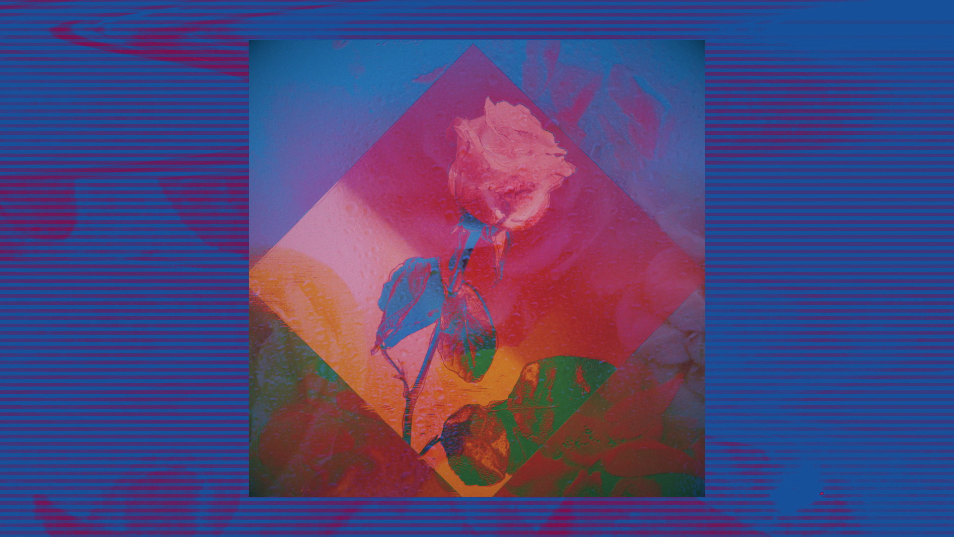 foals_testrender_lp_06_full copy.png