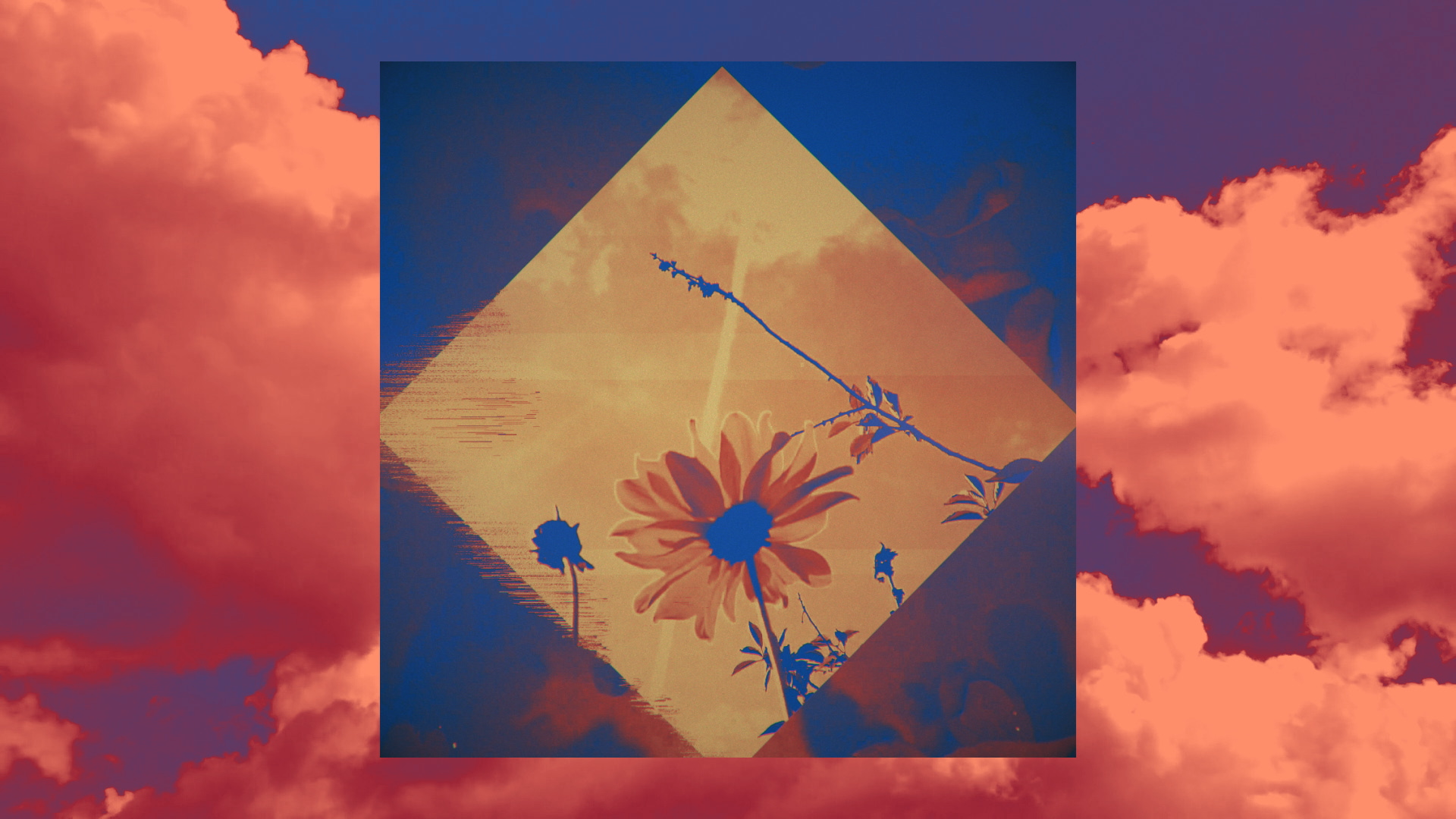 foals_testrender_lp_06_full copyA.png