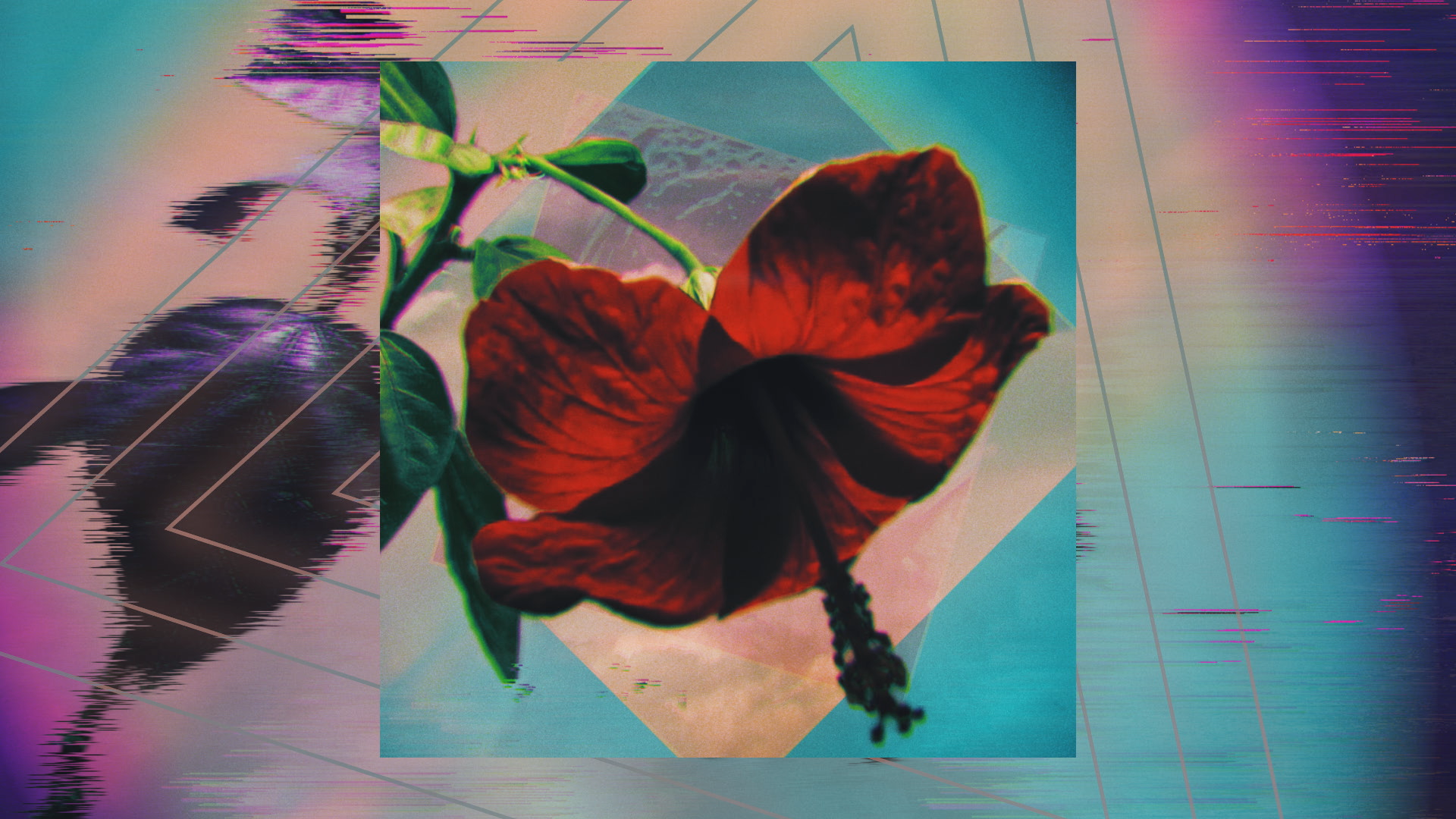 foals_testrender_lp_03_full copyA.png