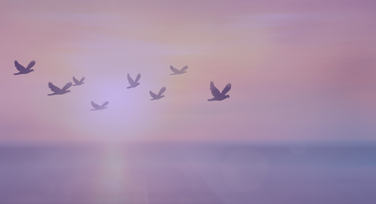 Detox from sugar and reset your taste buds Develop a heightened sense of awareness of your body Attain skills and tools to overcome obstacles and deconstruct cravings Understand how sugar interacts with your body Be  (1).png