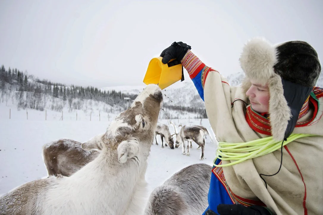 9F529349-95BE-4595-A27A-8B6DD08608D6_1_105_c copy.jpg