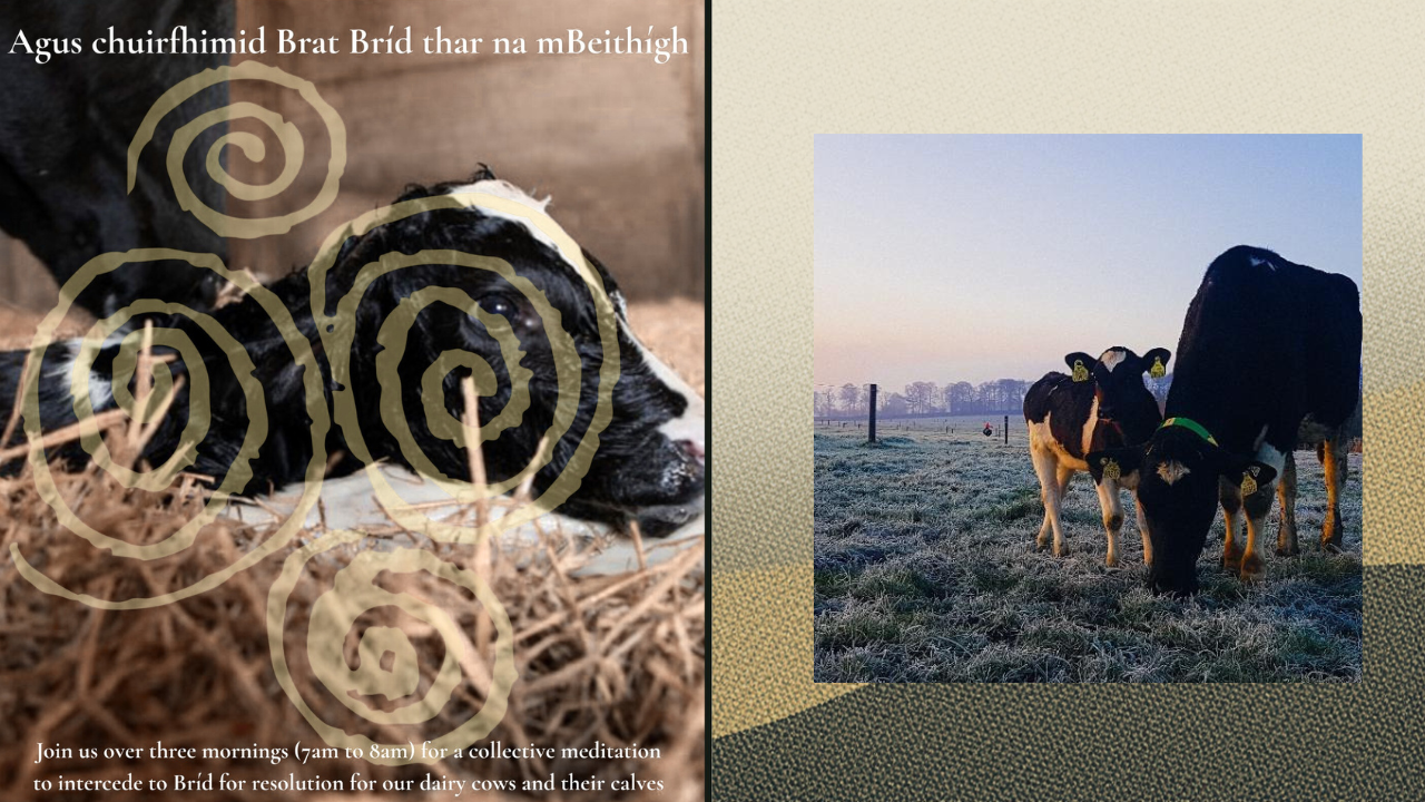 Agus chuirfhimid Brat Brid thar na mBeithigh