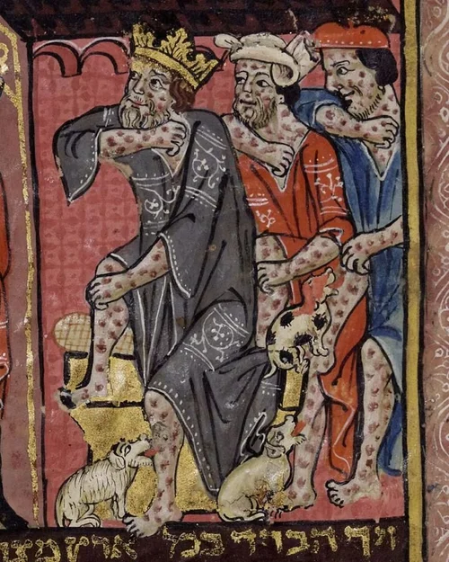 Perplexing Plague Cures — Newcastle Castle