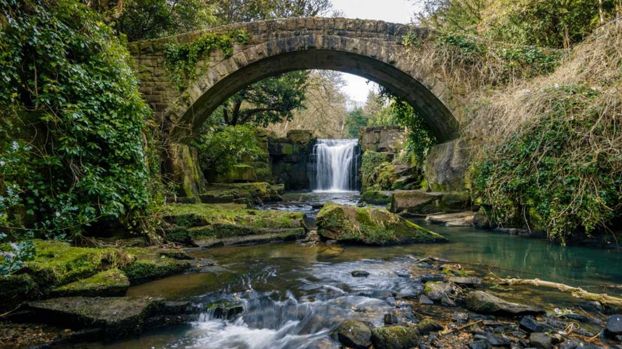 Banquets and Mills: A Look at Jesmond Dene