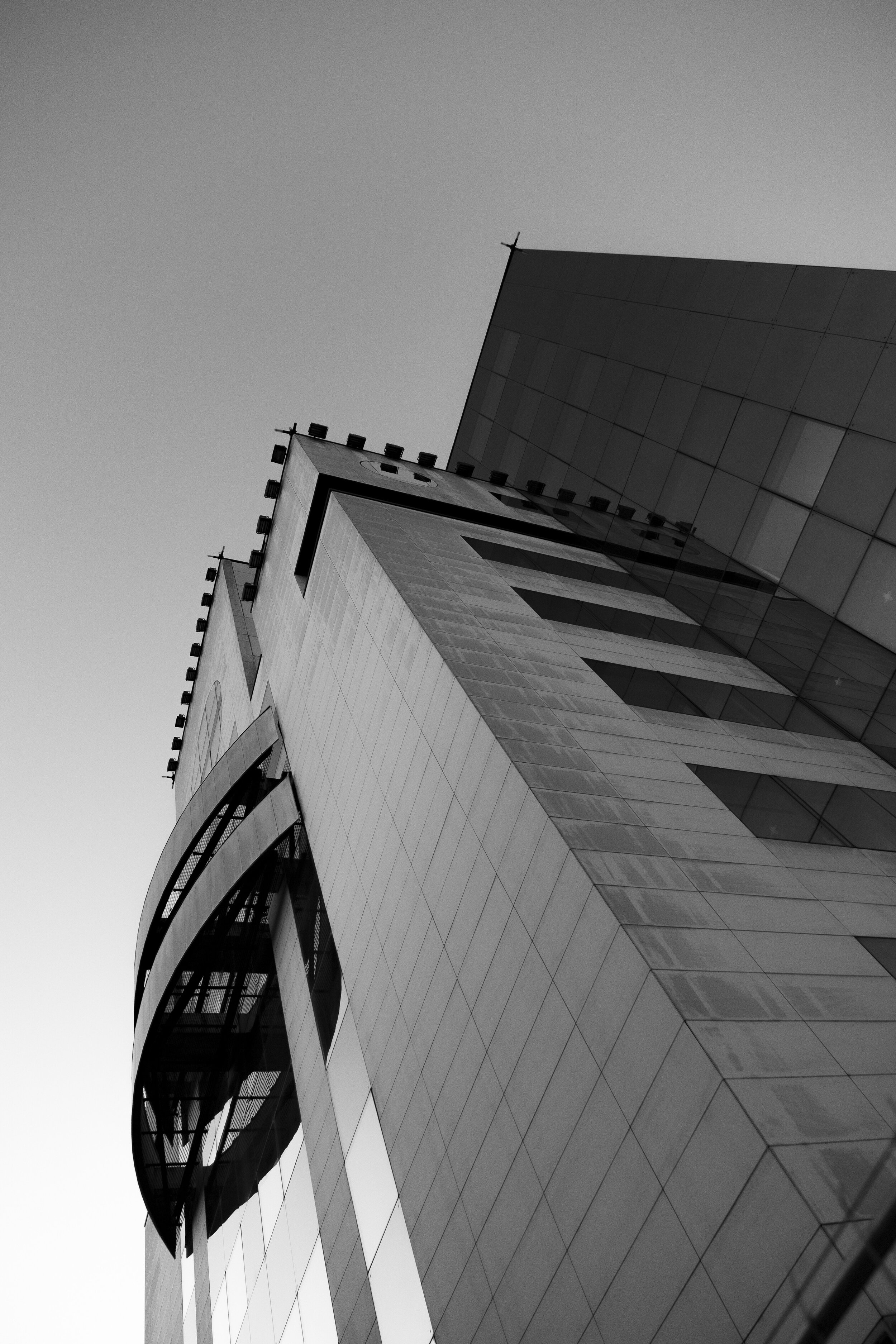 DSCF4440.jpg