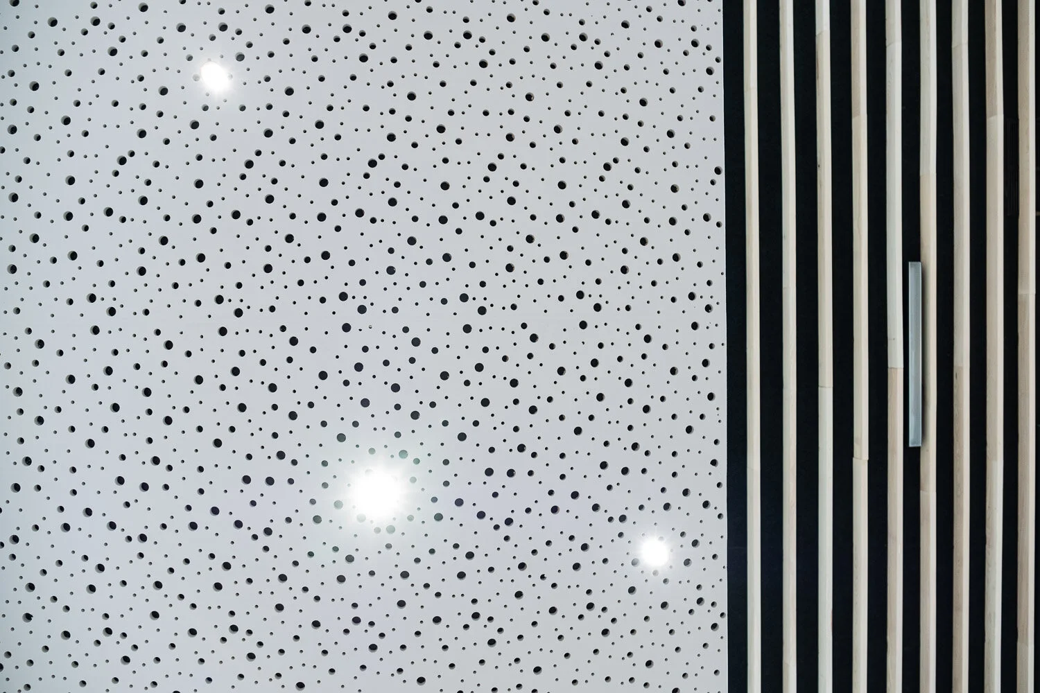 _DSF9727.jpg