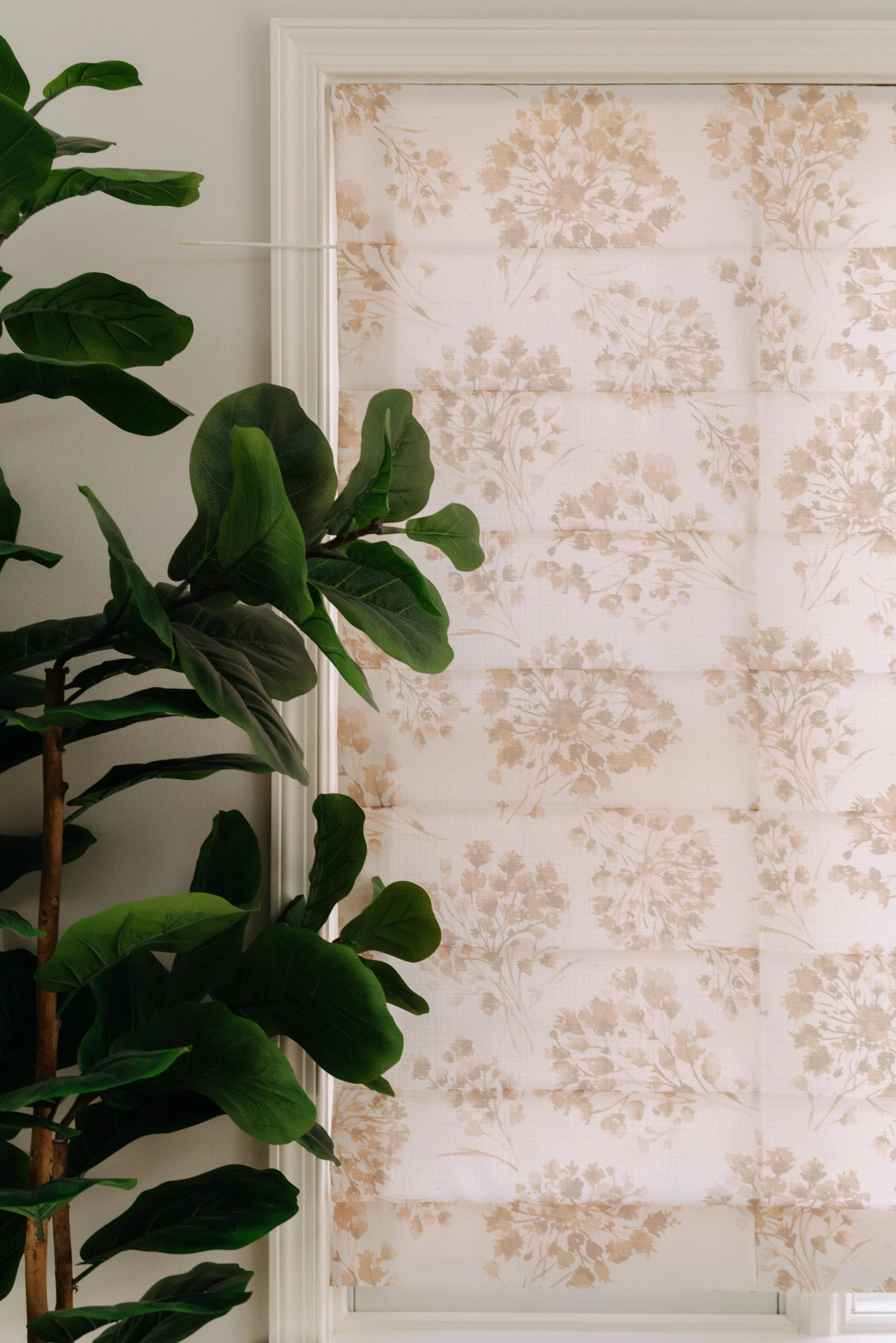 Indoor scene with a large green leafy plant next to a window with floral-patterned window covering or curtain.