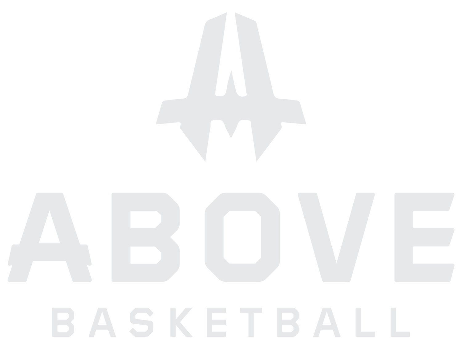 Above Basketball