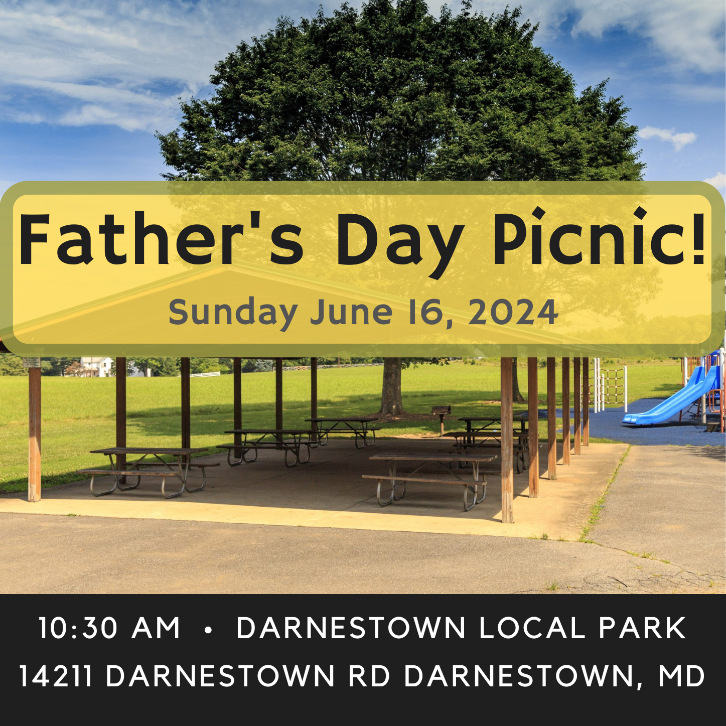 Father's Day Family Picnic