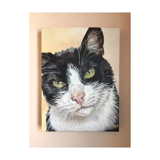 I&rsquo;m now the very proud owner of this stunning portrait of my cat felix, it arrived today gifted to me from my oldest and dearest friend. Who also happens to be an very talented animal artist. @animal_art_by_jenny  The emotional rollercoaster we