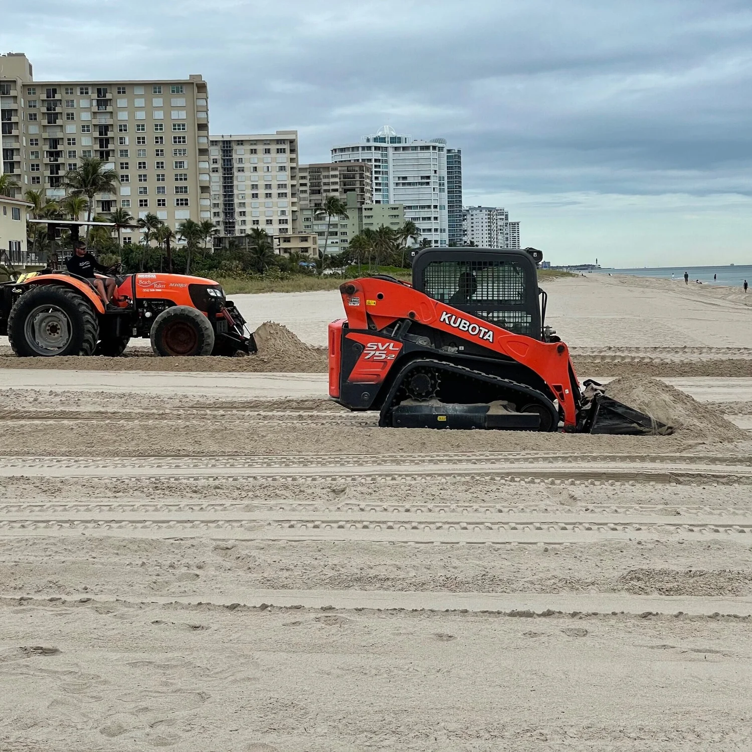 Florida Beach Raker