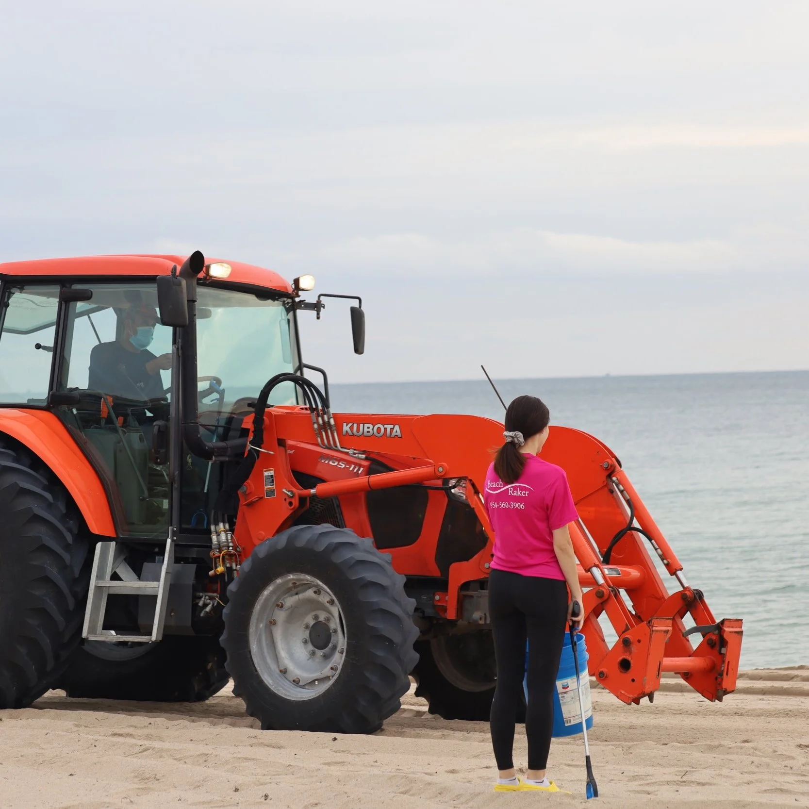 Florida Beach Raker