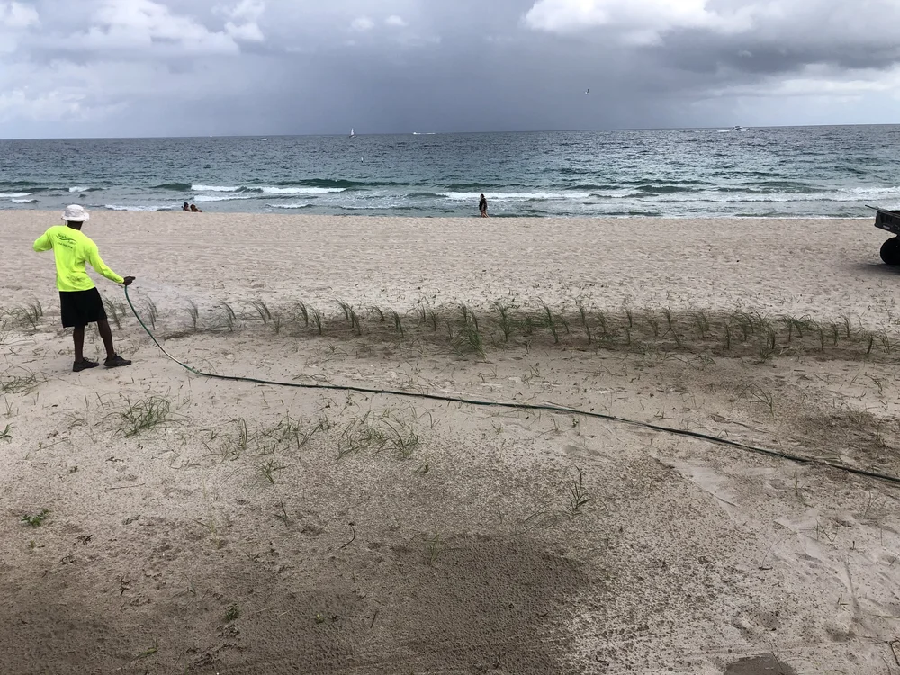 Dune Management — Florida Beach Raker