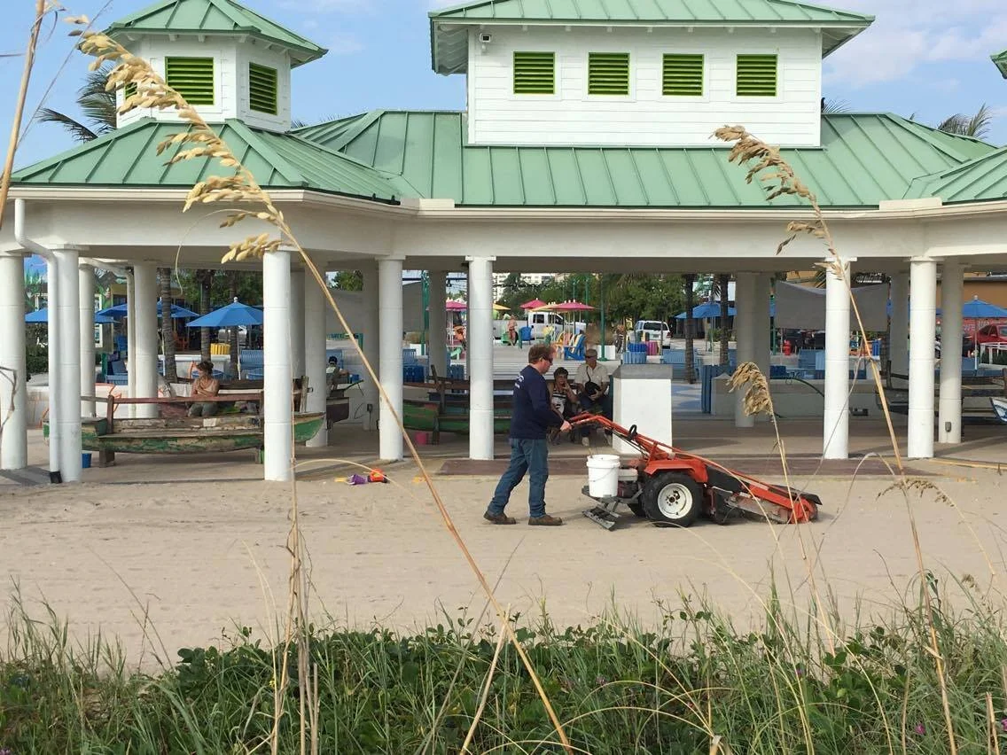 Sandman Walk Behind Aruba.jpg