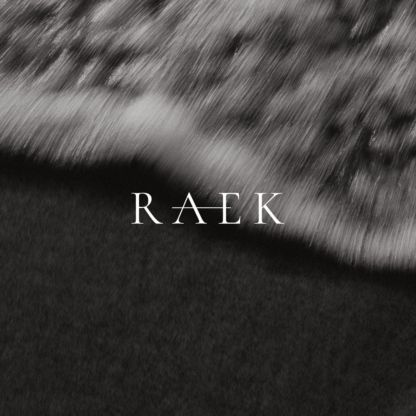 Logo design for Raek Architects.