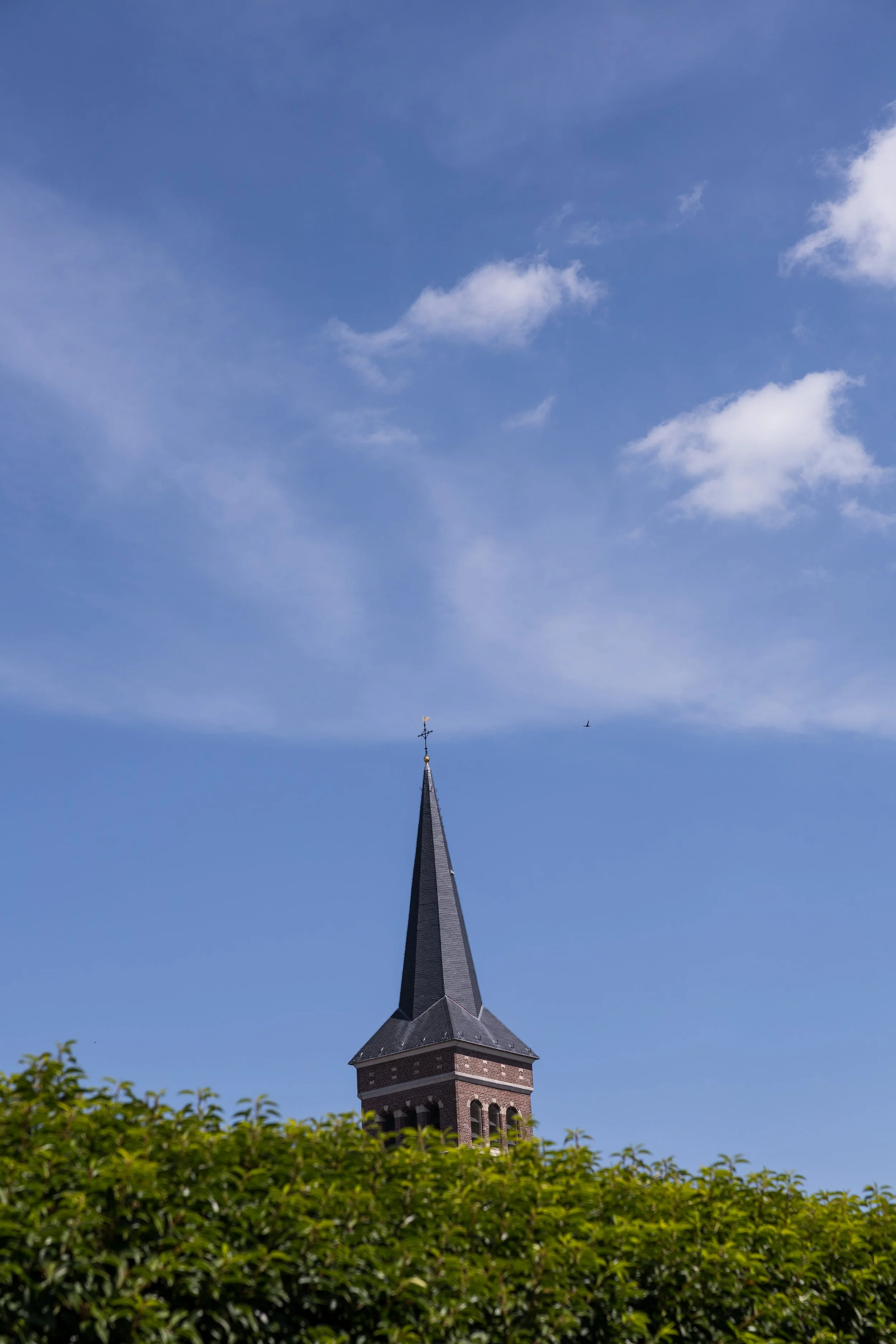 Hoogstraat-Vosselare (57 van 57).jpg