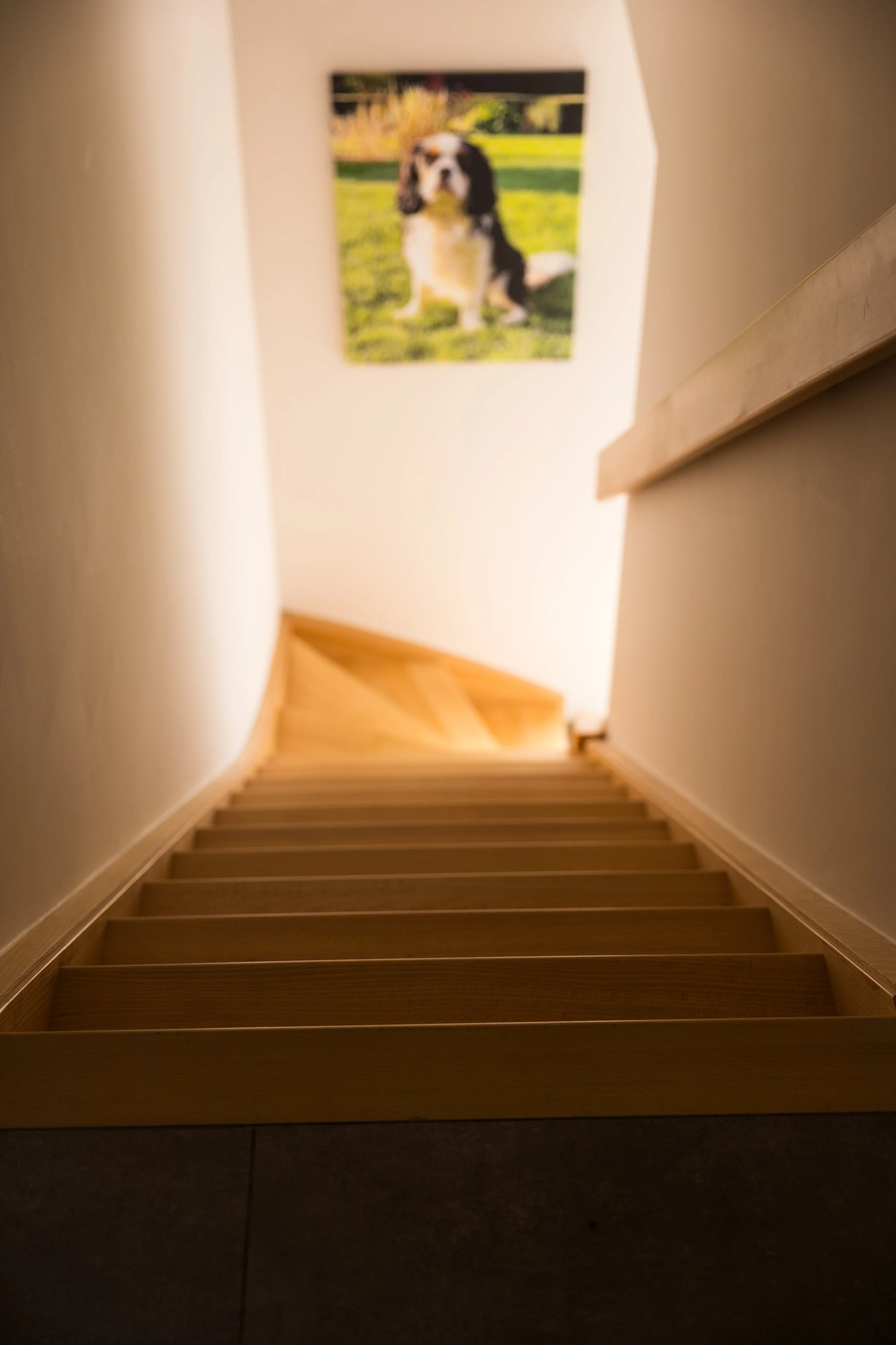 Hoogstraat-Vosselare (20 van 57).jpg
