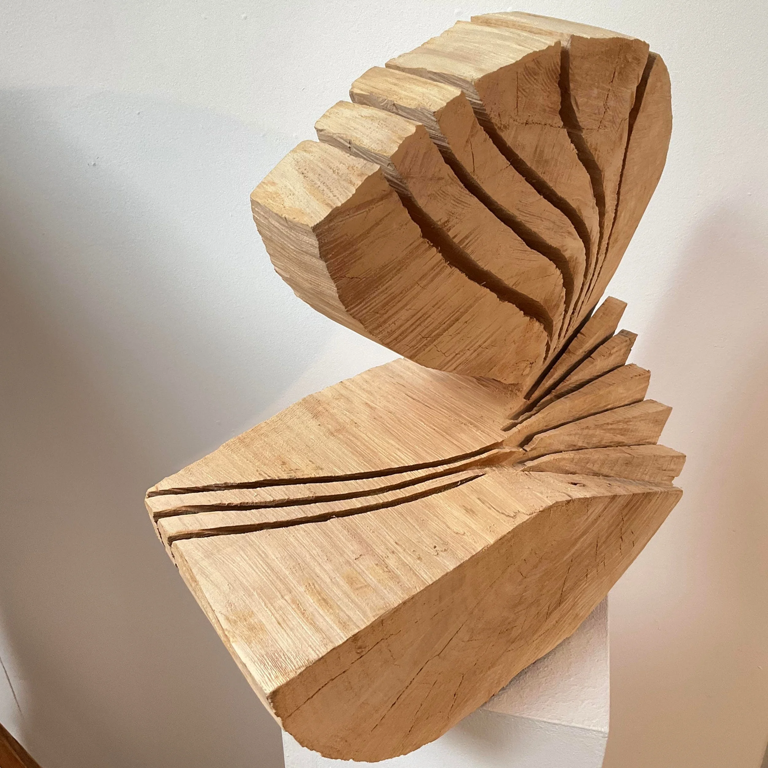 02_Frey_dr Ammonit.jpg