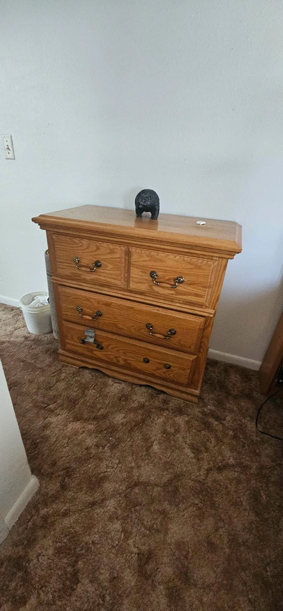 786900300_1102378869128833_1130164369446829359_n.png.jpeg