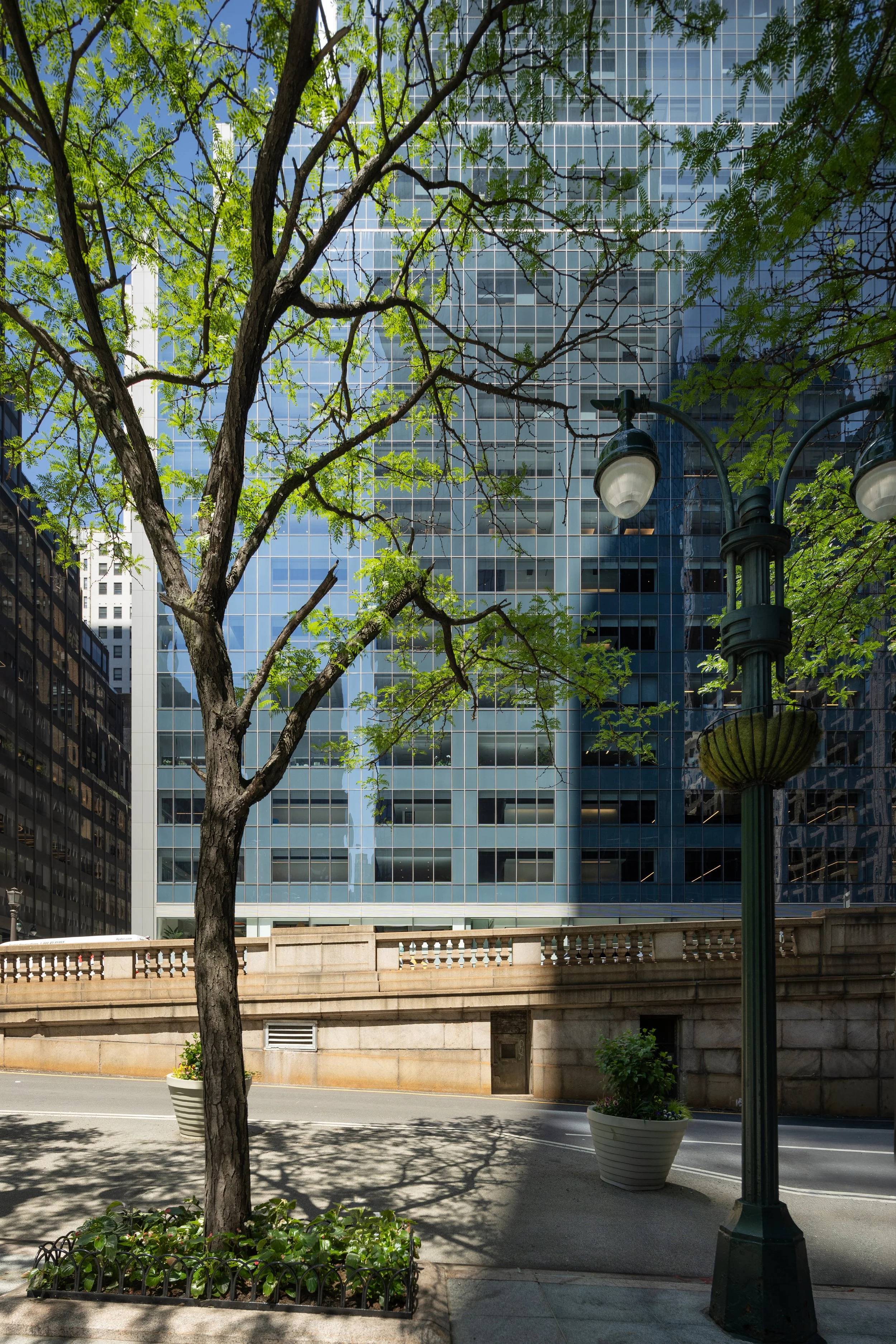 06_Mdeas_ParkAve_IK.jpg