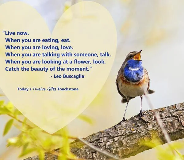 LIVE WELL. LIVE NOW.