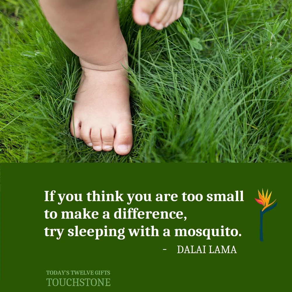 If You Think You Are Too Small To Make A Difference Try Sleeping With A Mosquito We Are Not Too Small, Too Old, Too Young, Too Anything To Make A Difference  — Charlene Costanzo