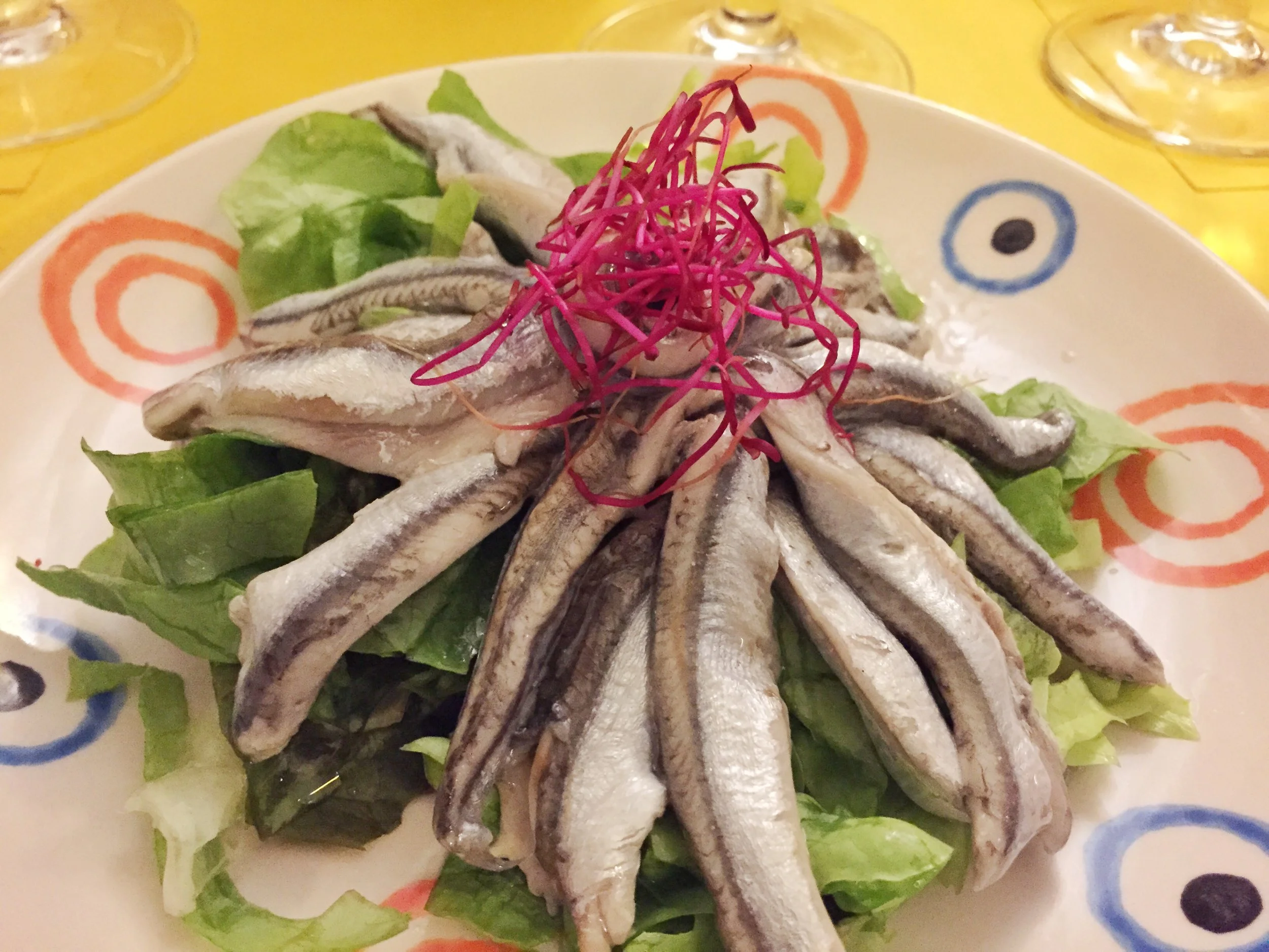 Anchovy Love in Genova