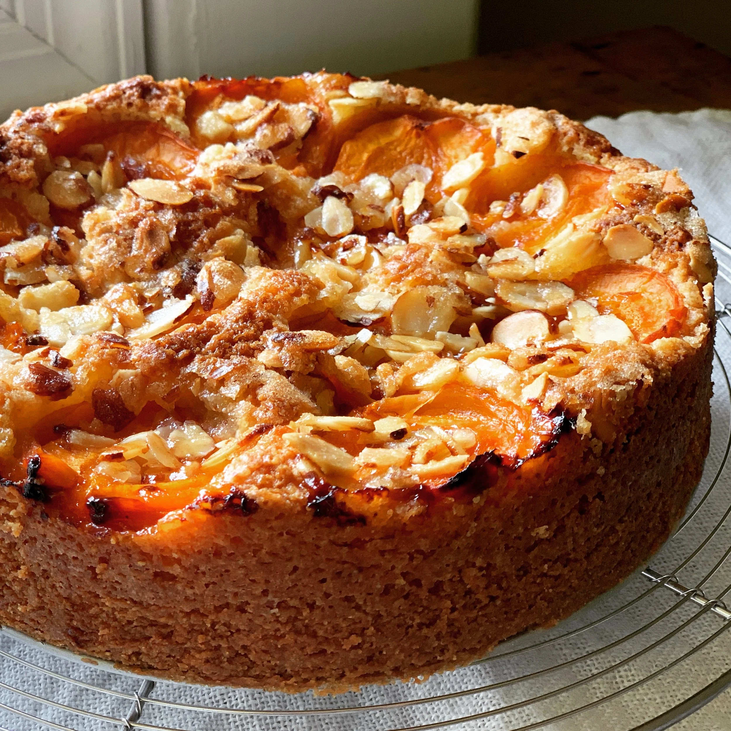 Apricot Cornmeal Cake