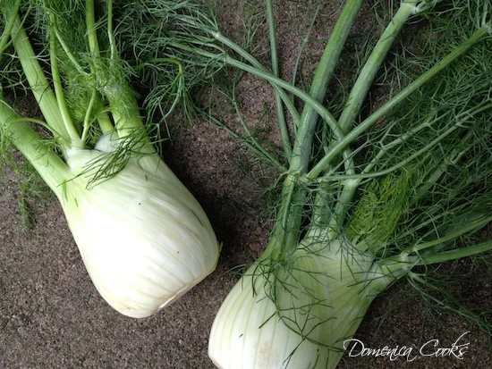 Fennel Salad with Raisins and Red Finger Chiles