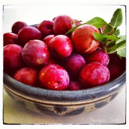 Confettura di Prugne {Plum Jam}