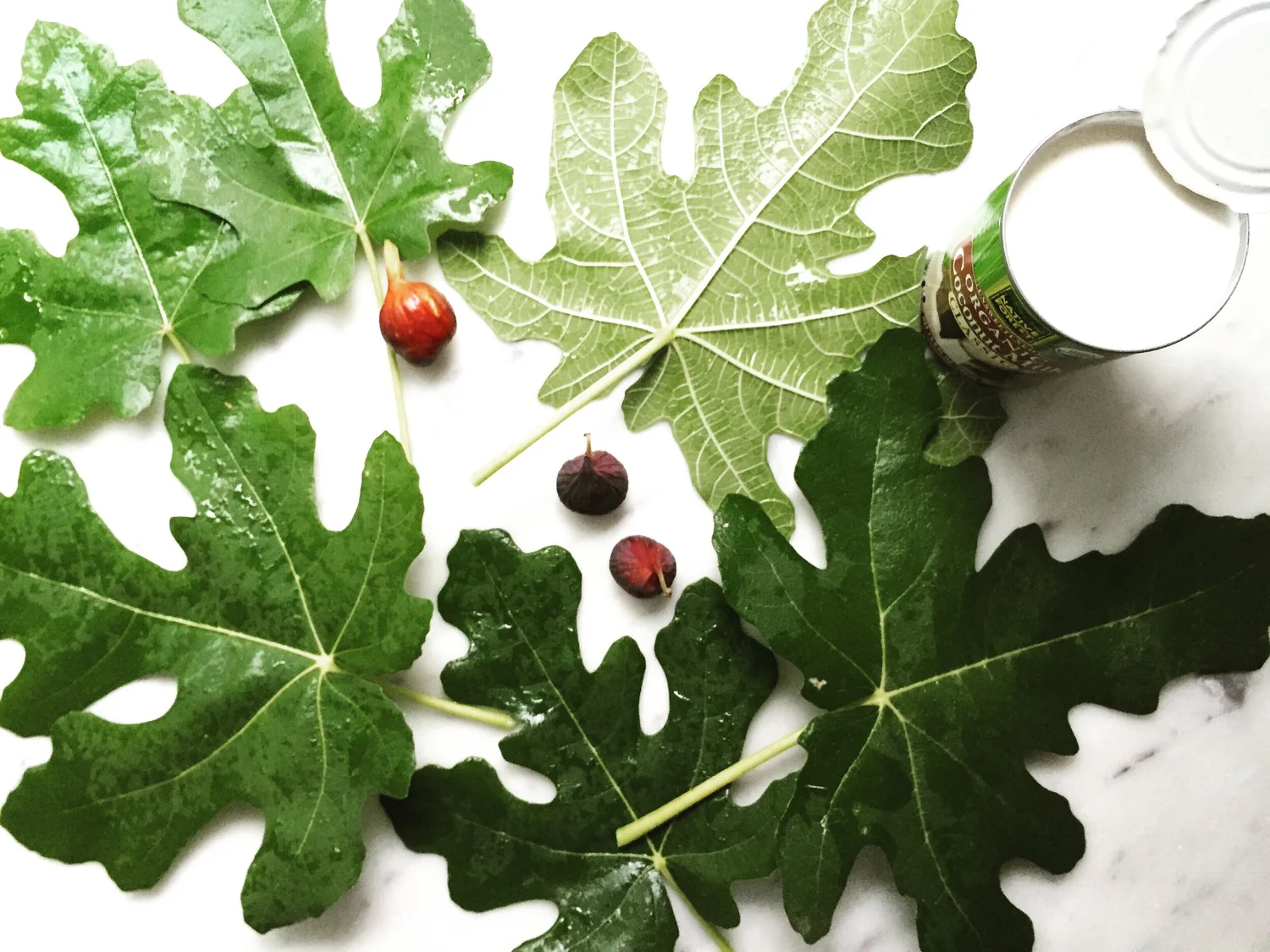 gelato-alle-foglie-di-fichi-domenica-cooks