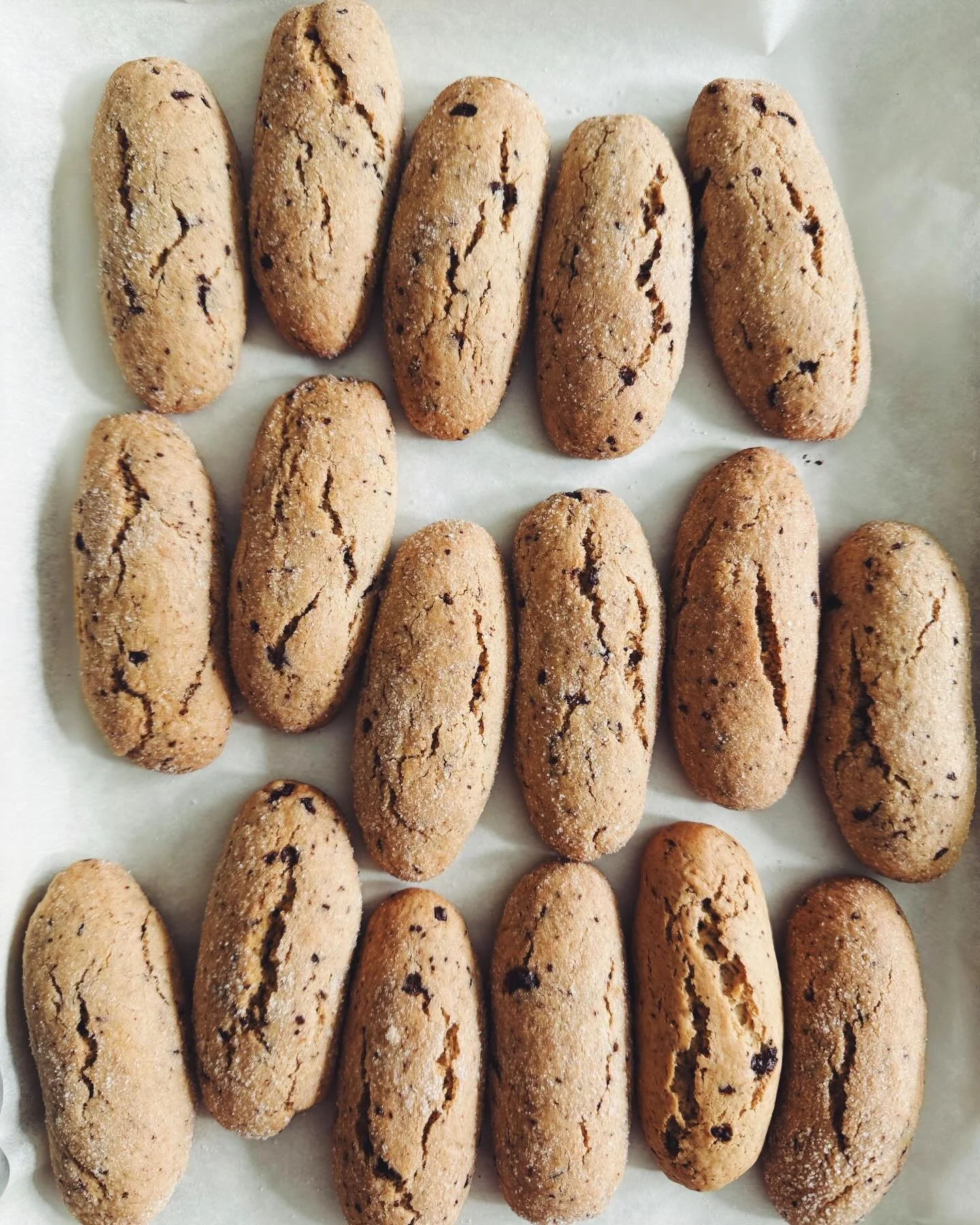WANTED: one large glass of milk 🥛
#biscottidainzuppo
.
ITALIAN COOKIES ~ coming in April 💘

⭐️ &ldquo;This book is a must for dedicated bakers, encouraging a focus on Mediterranean sweets and spices, with an emphasis on natural flavors inspired by 
