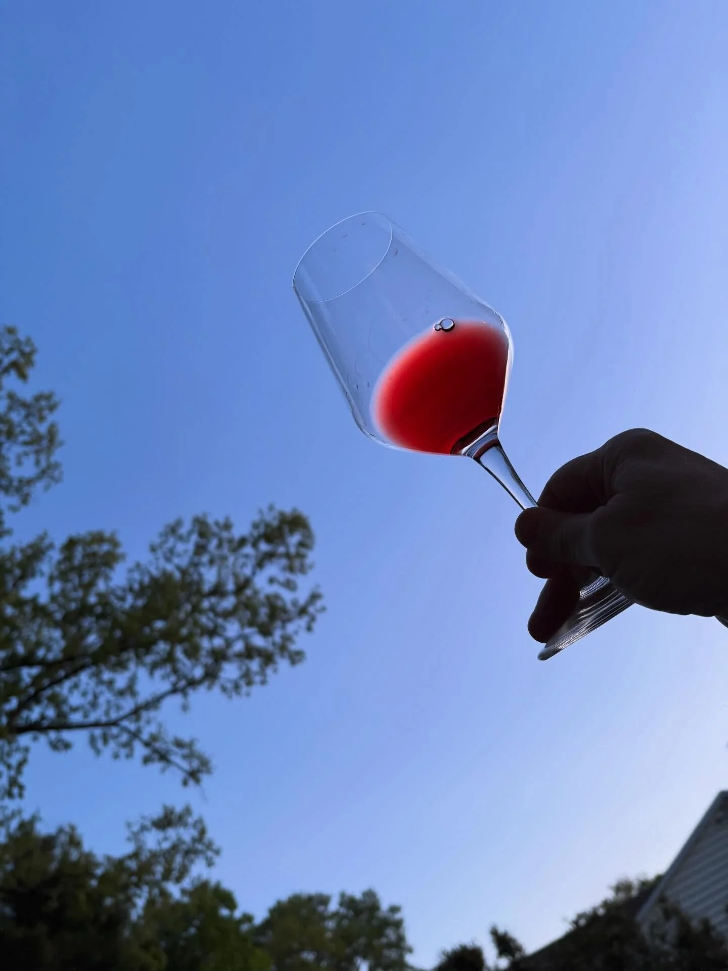 This month&rsquo;s edition of The Winelist is posted!🍷
Featured wine: Gaglioppo, from Calabria. Written by Buona Domenica&rsquo;s wine columnist, @scottvance.
.
Link in stories 🇮🇹🍷
.
#italianwine #vinoitaliano #gaglioppo
.