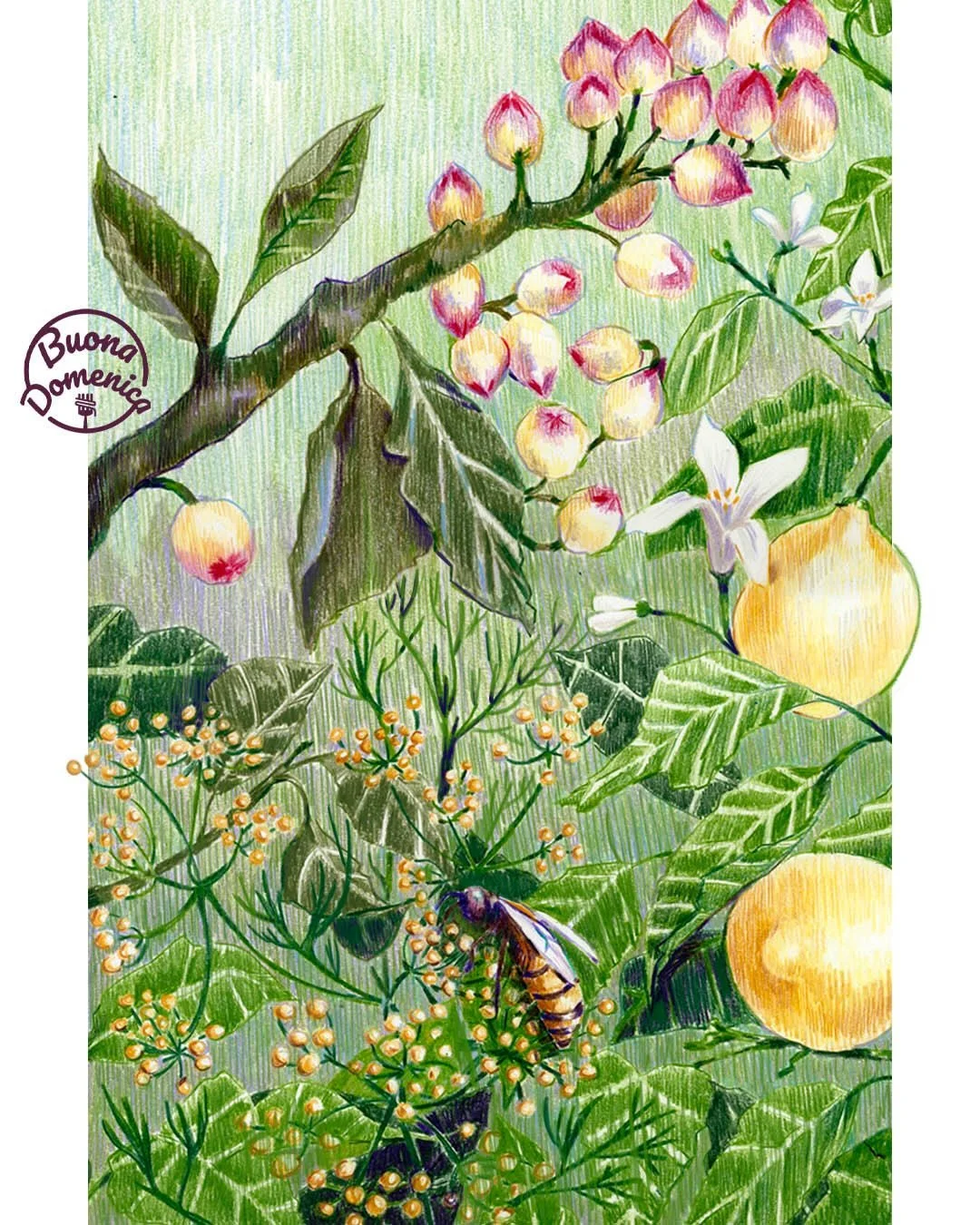 This week&rsquo;s Buona Domenica is graced with this lovely hand-drawn illustration by @daniela.bracc evoking spring 💖
.
The featured recipe also evokes the season: a fennel pollen and pistachio cake very lightly adapted from a recipe in @thaliaho&r