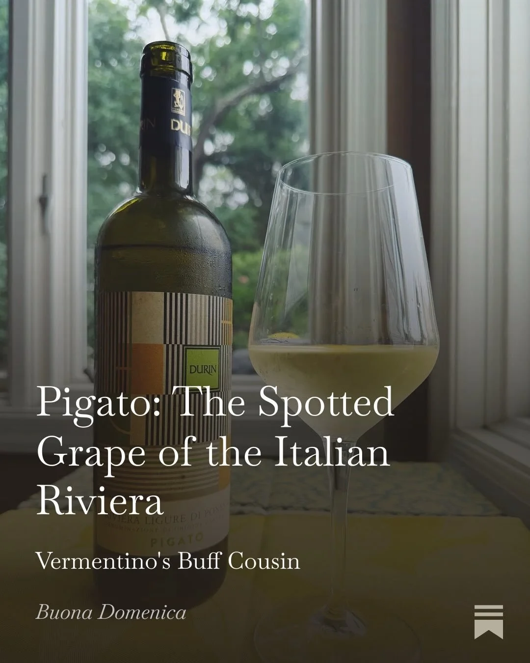 Don&rsquo;t call it Vermentino! This month&rsquo;s edition of The Winelist, a monthly column by @scottvance for Buona Domenica, spotlights Pigato, the spotted grape from Liguria.
.
Link in stories: https://buonadomenica.substack.com/p/pigato-the-spot