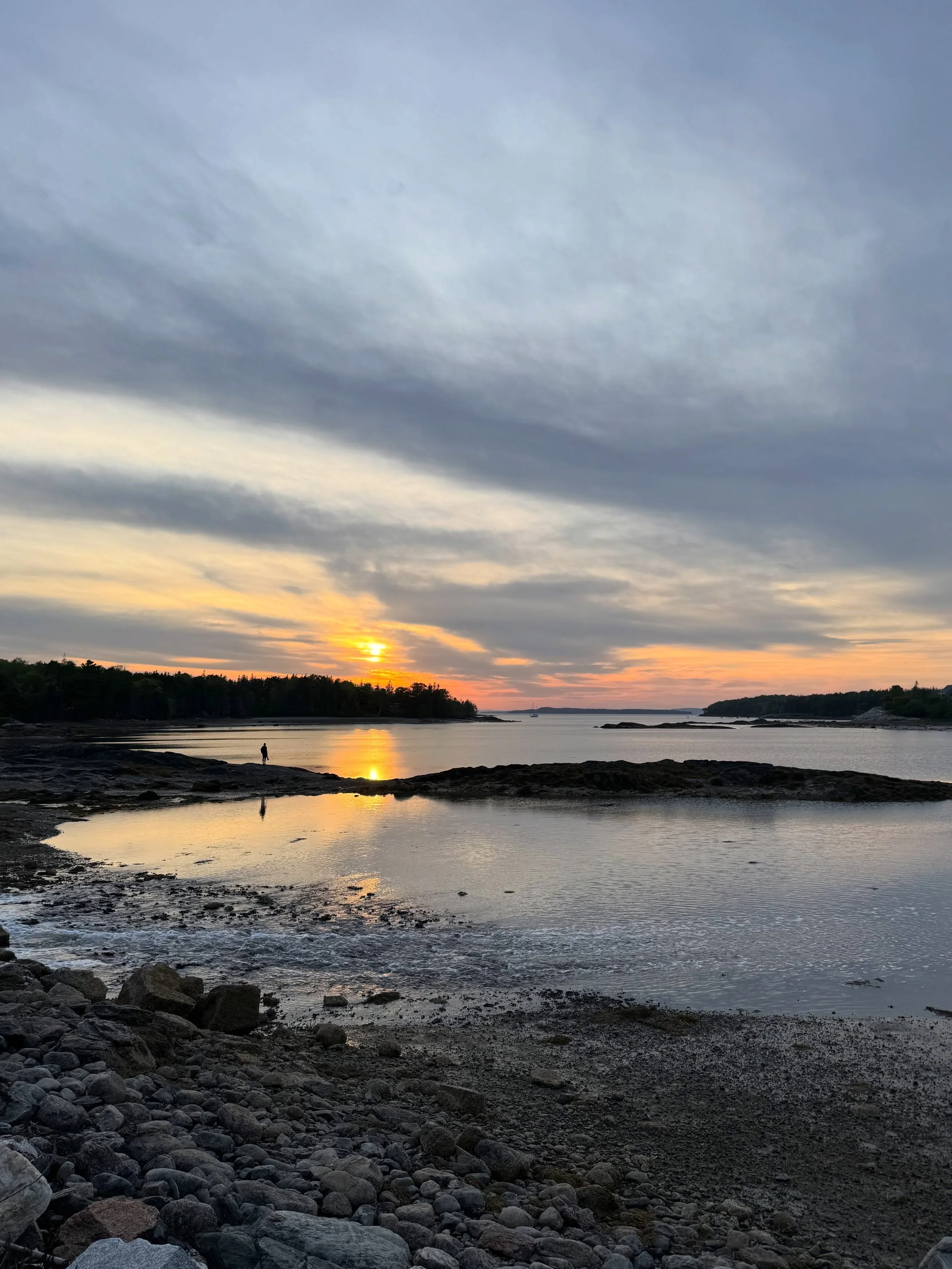 Maine days #maine
&bull;
1. Deer Isle
2. Canden
3. Lunch with the brilliant Nancy Harmon Jenkins
4. An inspired a nap pea &amp; fava leaf salad @ninajunerestaurant, Rockport
5.. Rockport
6-8 The Ark, Deer Isle @arkdeerisle
9. Breakfast box! @arkdeeri