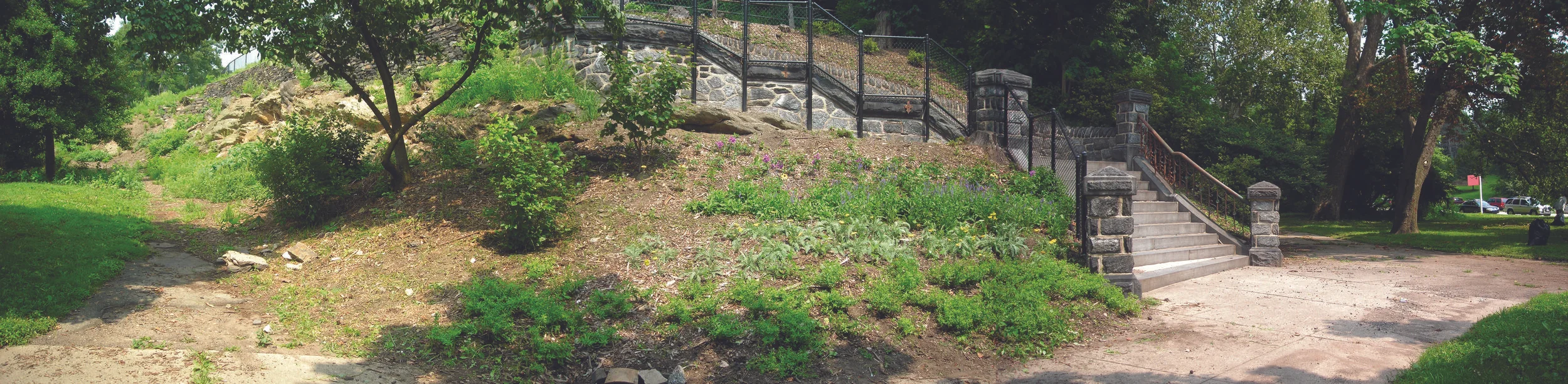 Lemon Hill Viewshed_2 months.jpg