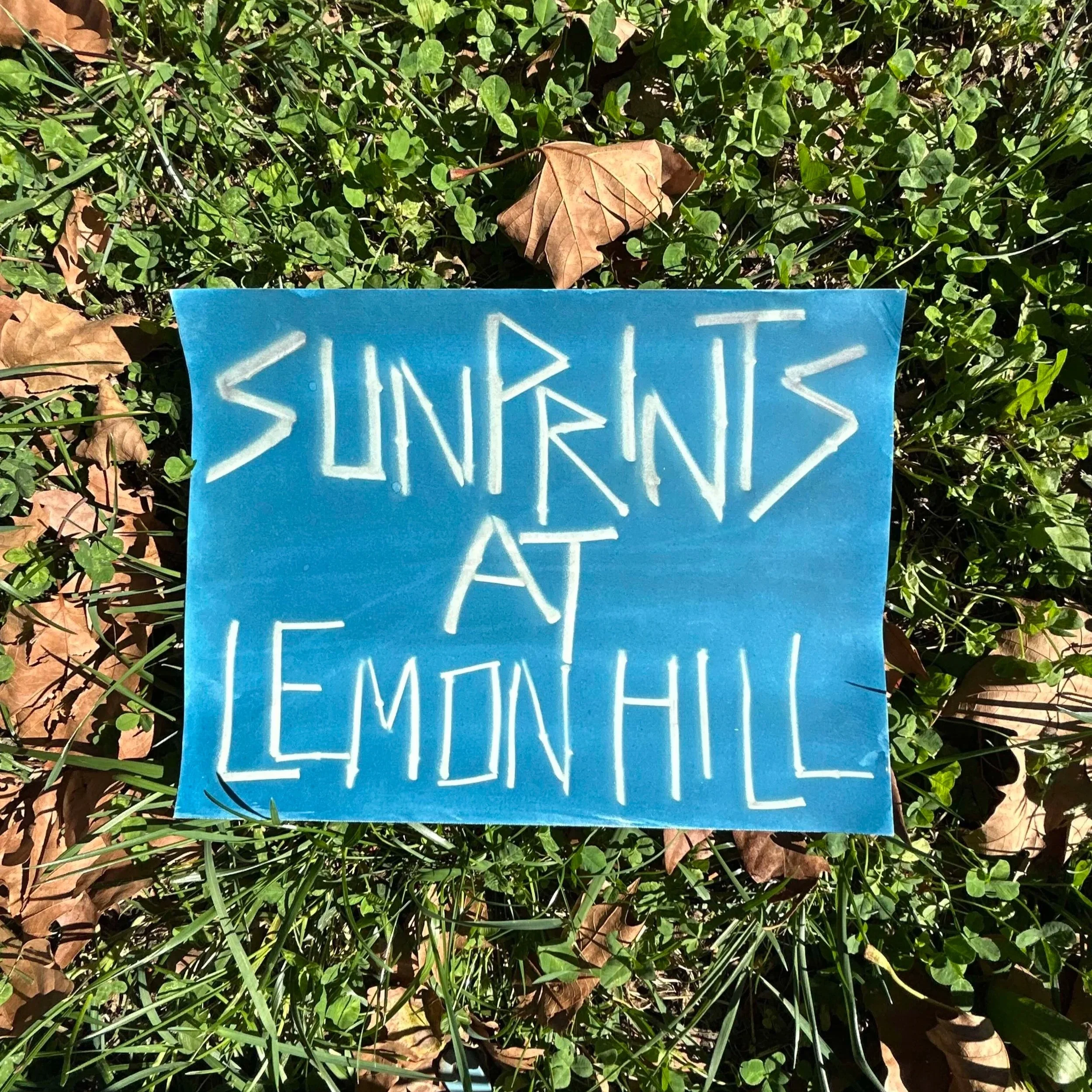 Sunprint Workshop
