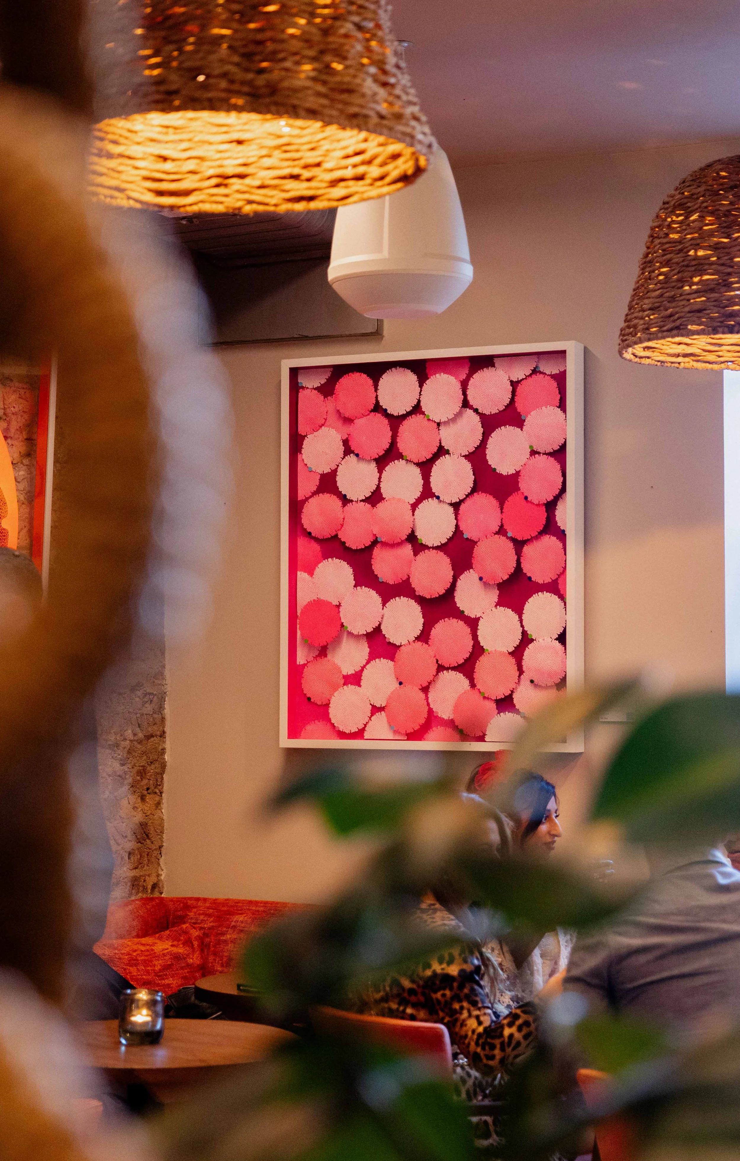 Roppongi Reef in Pink - Jr Chuo