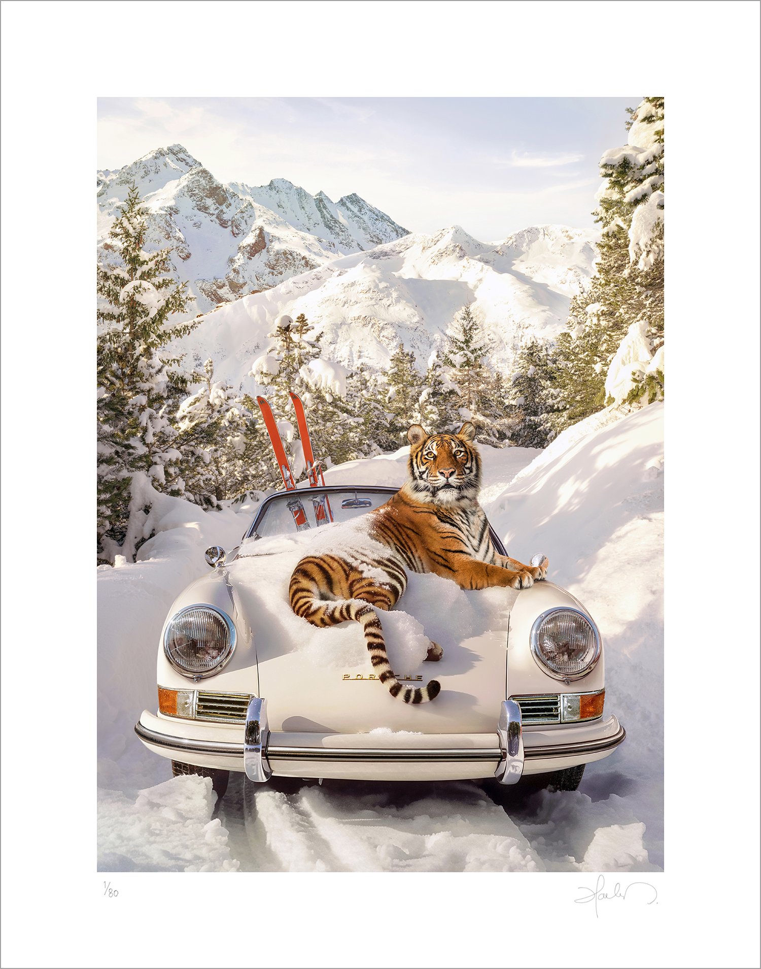 TigerInStMoritz.jpg